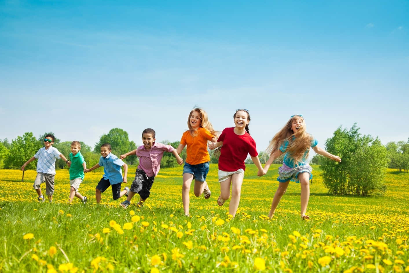 children, field, yellow dandelions, HD Desktop Wallpaper
