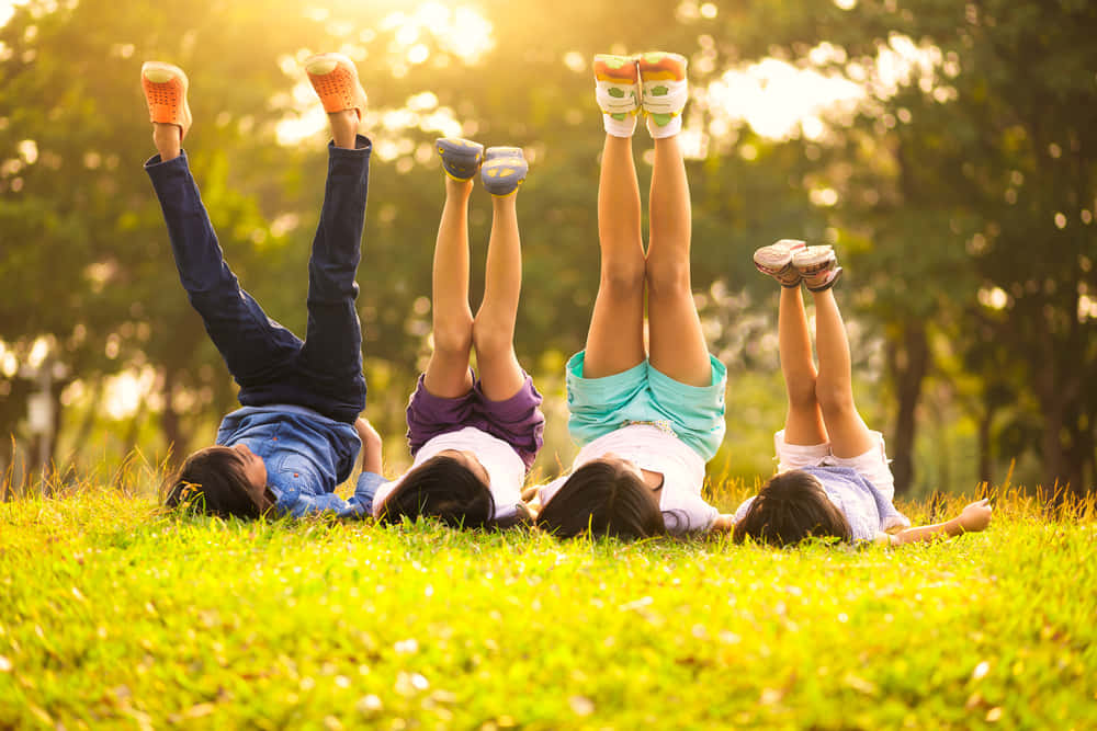 National Child Health Day, green grass, sunlit trees, SD Desktop Wallpaper