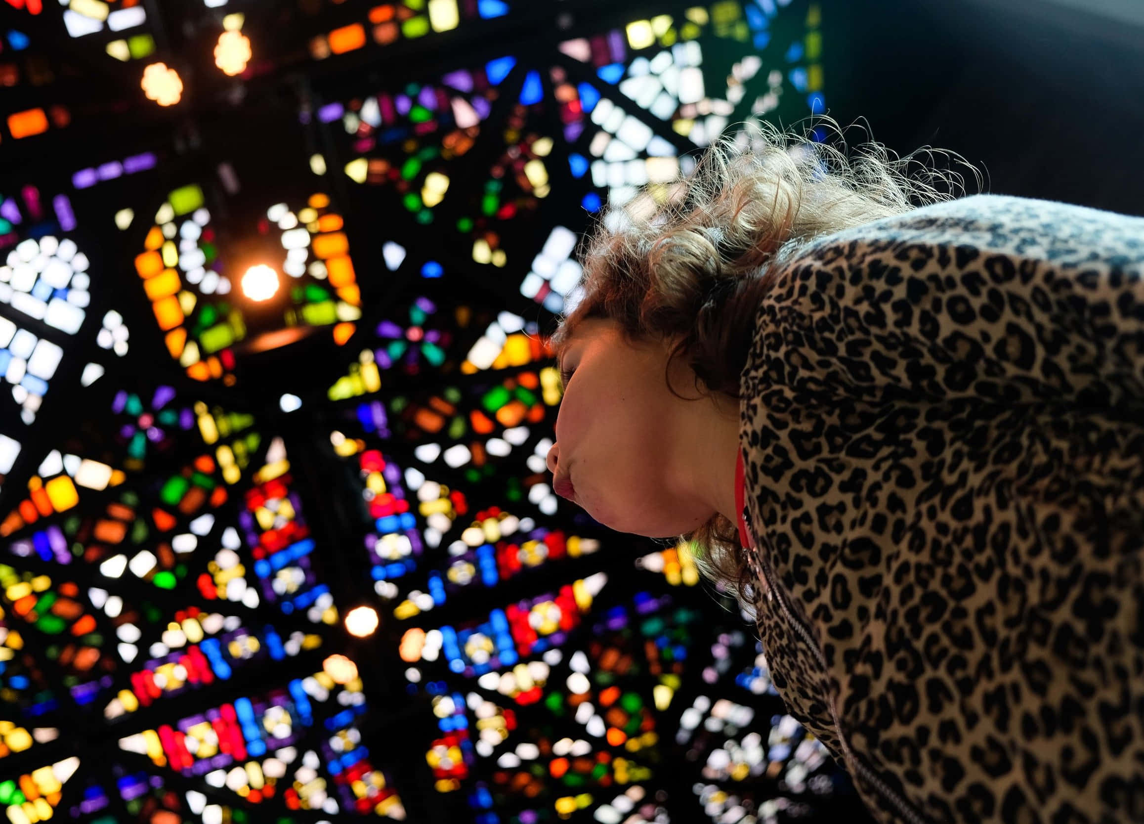 leopard print jacket, vibrant stained glass ceiling, colorful light, Full HD Desktop Wallpaper