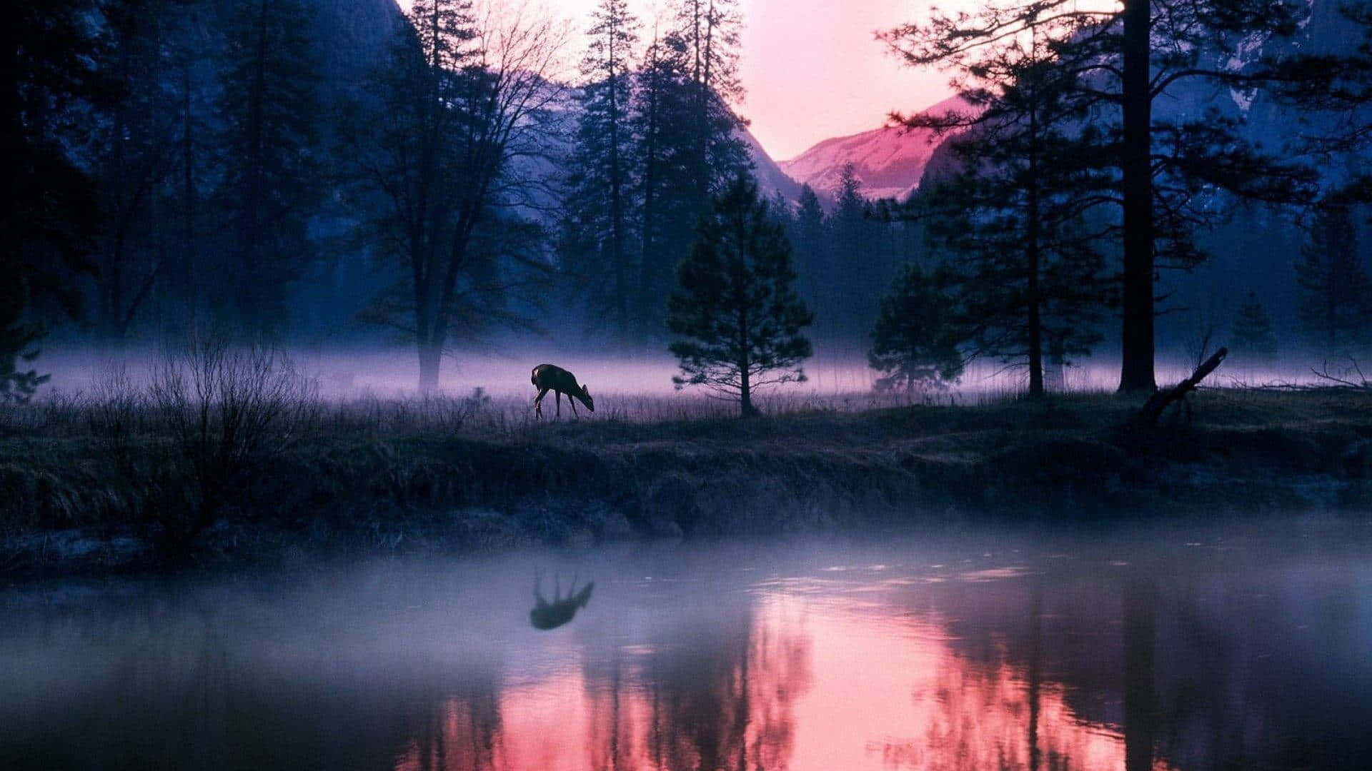 National Geographic Desktop, river, dawn, Full HD Desktop Wallpaper