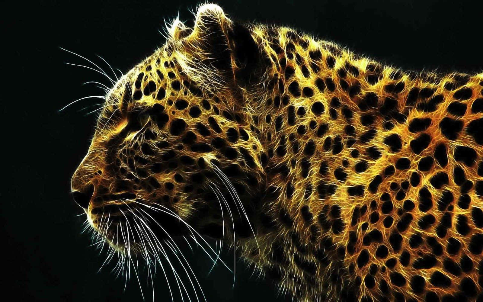 National Geographic Desktop, leopard, golden, HD Desktop Wallpaper