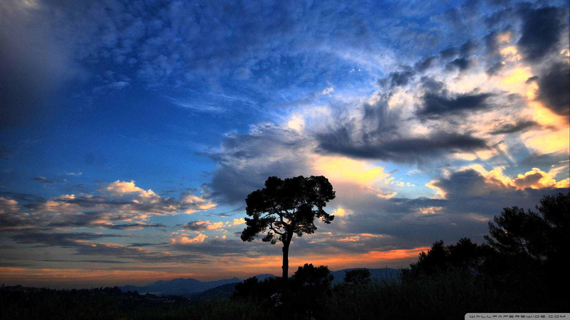 National Geographic, silhouette tree, dramatic sunset sky, Full HD Desktop Wallpaper