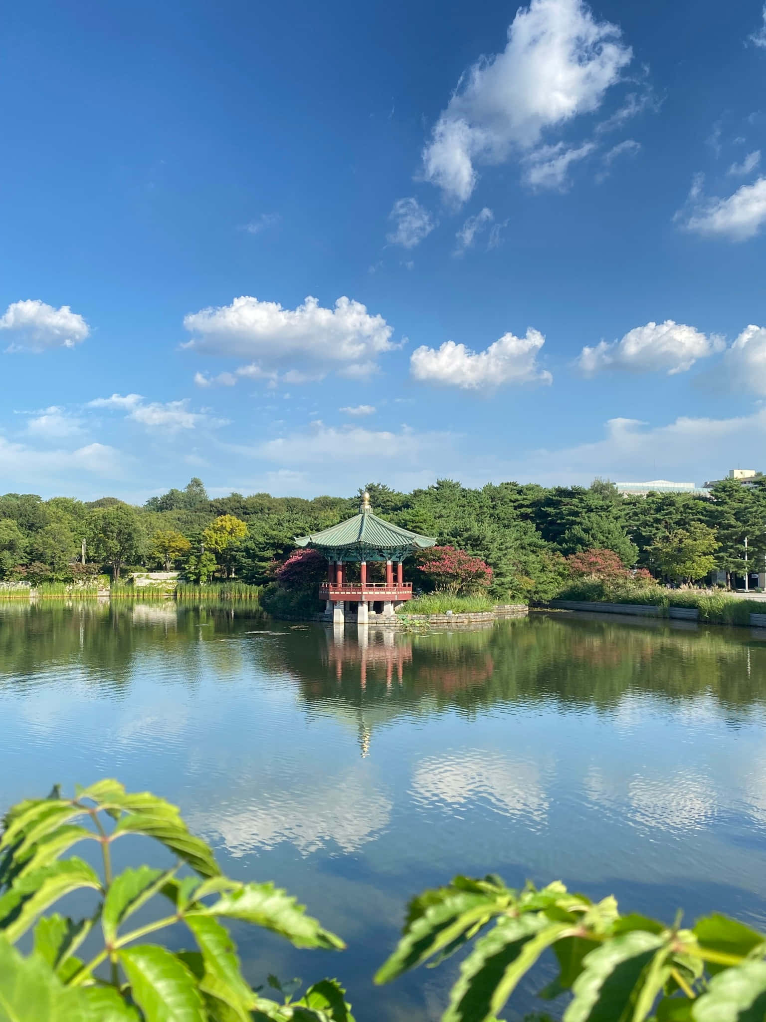 National Museum Of Korea, pond pavilion, green roof, Full HD Phone Wallpaper