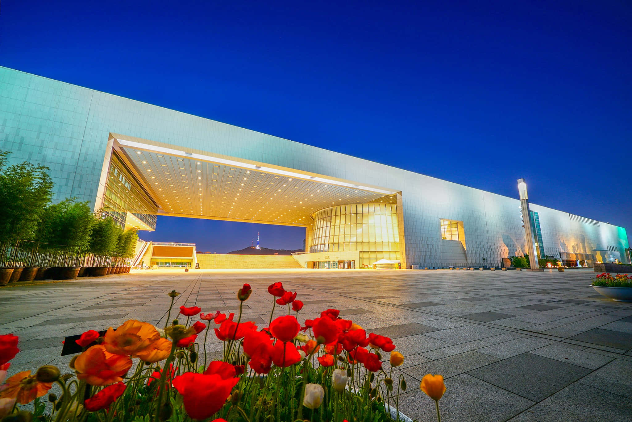 National Museum Of Korea, twilight sky, vibrant red poppies, Full HD Desktop Wallpaper