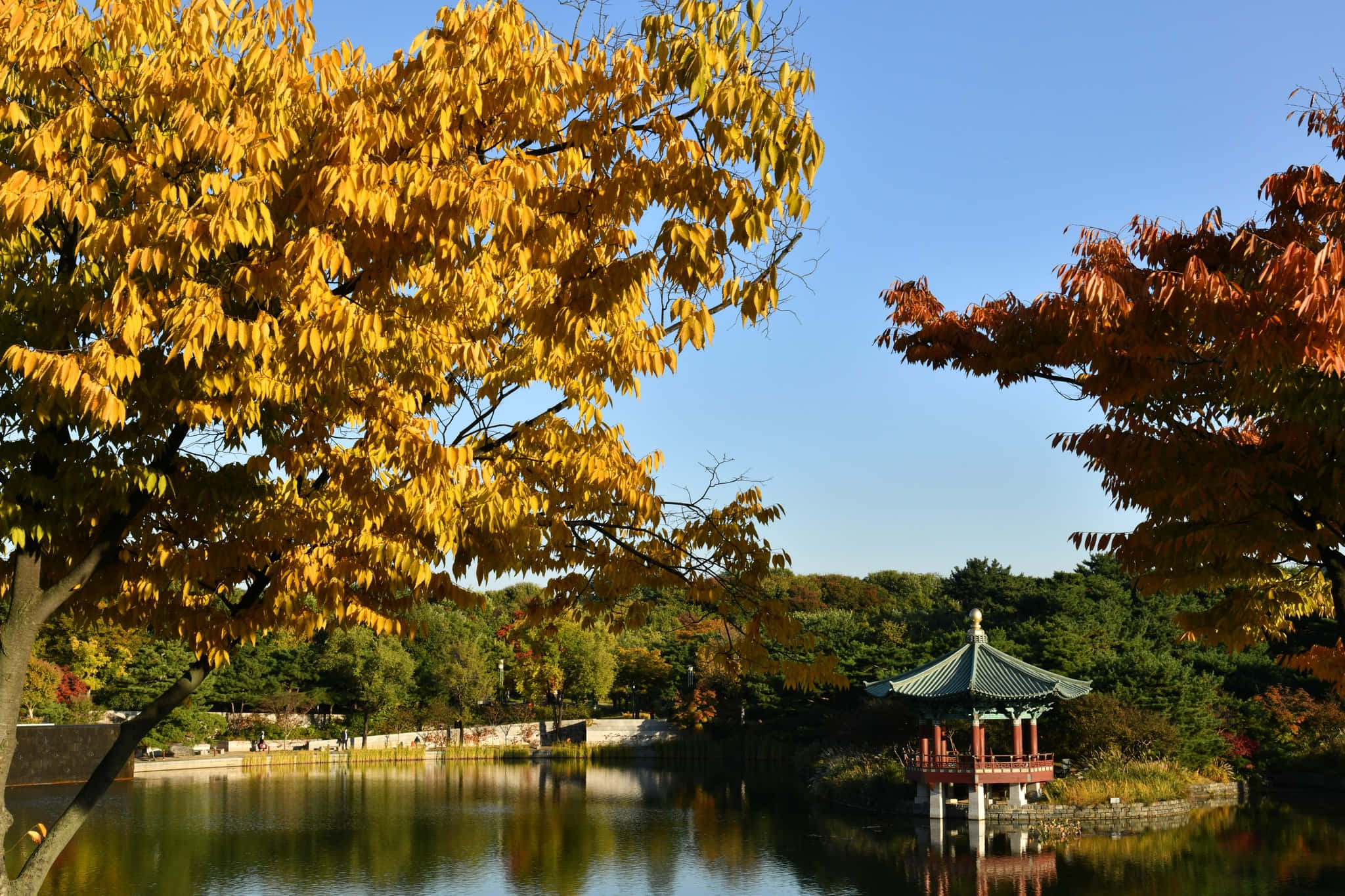 National Museum Of Korea, pond, autumn trees, Full HD Desktop Wallpaper