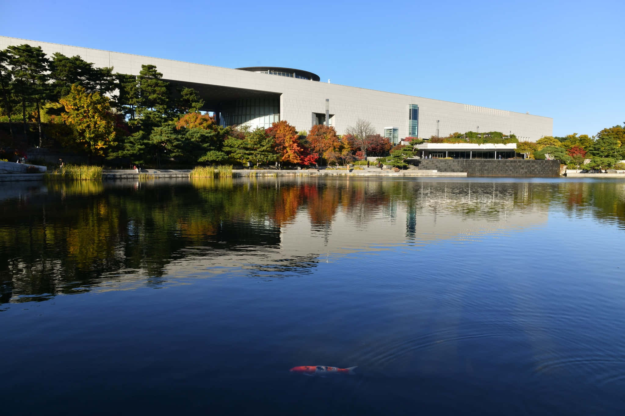 National Museum Of Korea, autumn trees, calm water, Full HD Desktop Wallpaper