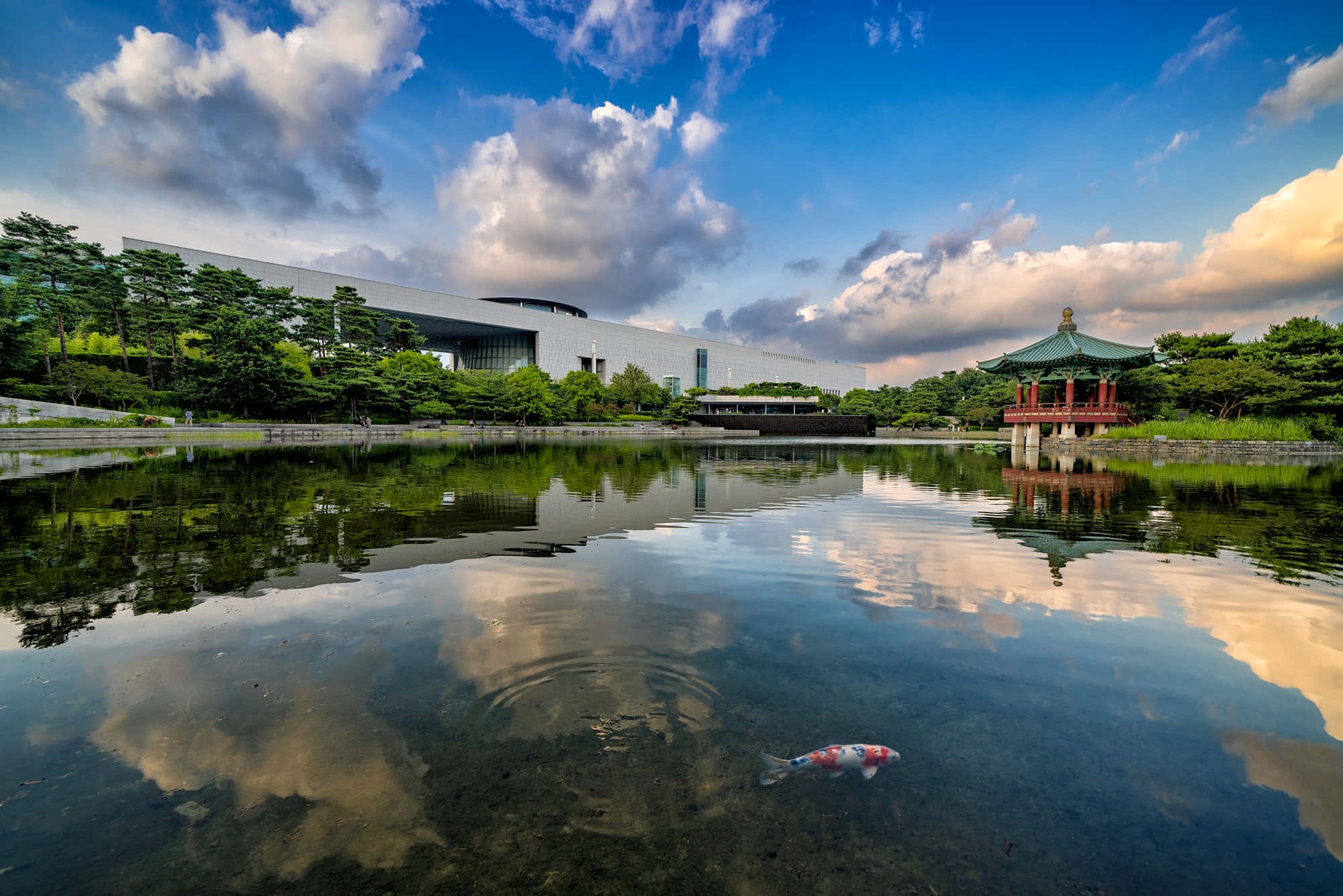 National Museum Of Korea, reflective pond, koi fish, Full HD Desktop Wallpaper