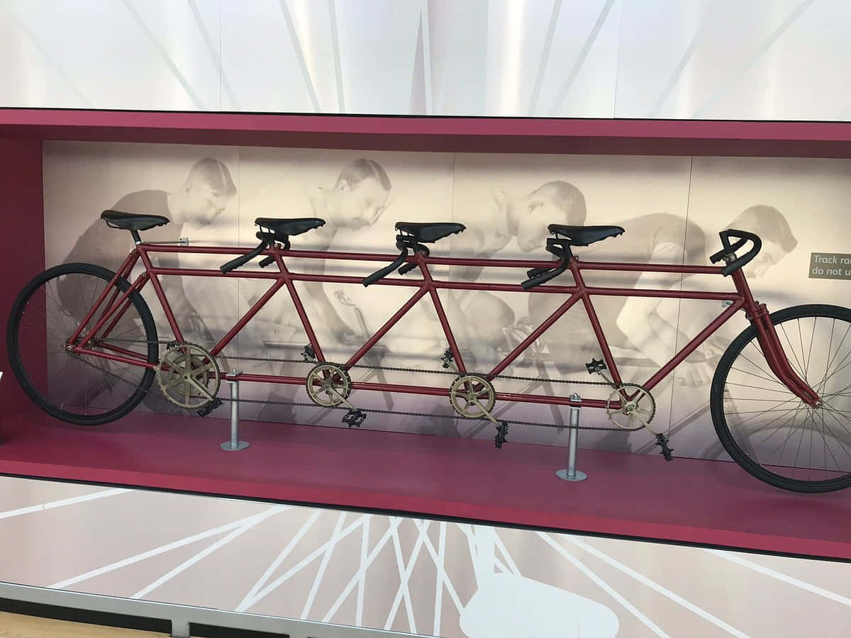 quintuple tandem bicycle, four-seater tandem bicycle, magenta platform, SD Desktop Wallpaper