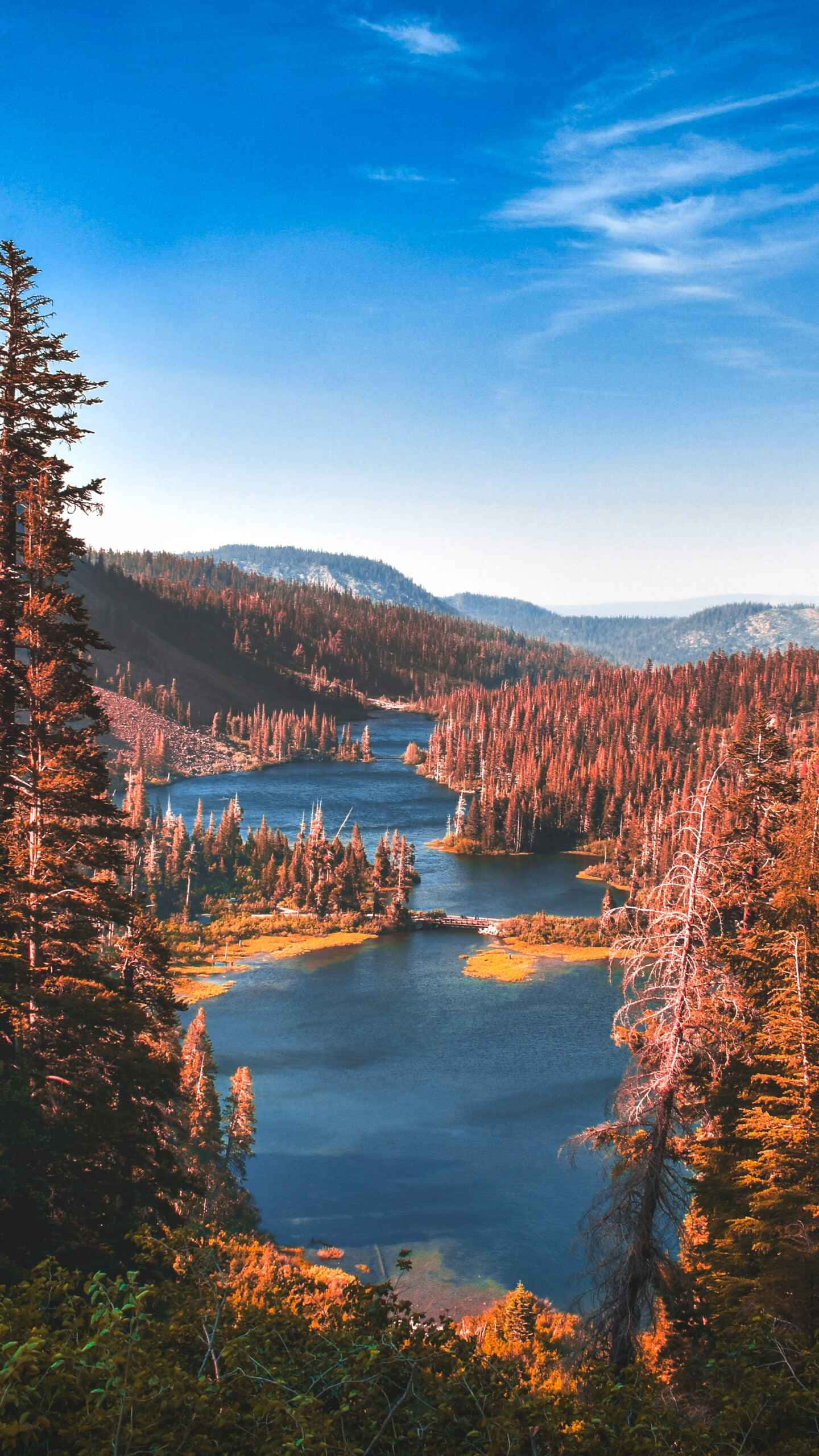 serene lake view national park, alpine lake, forested mountains, 2K Phone Wallpaper
