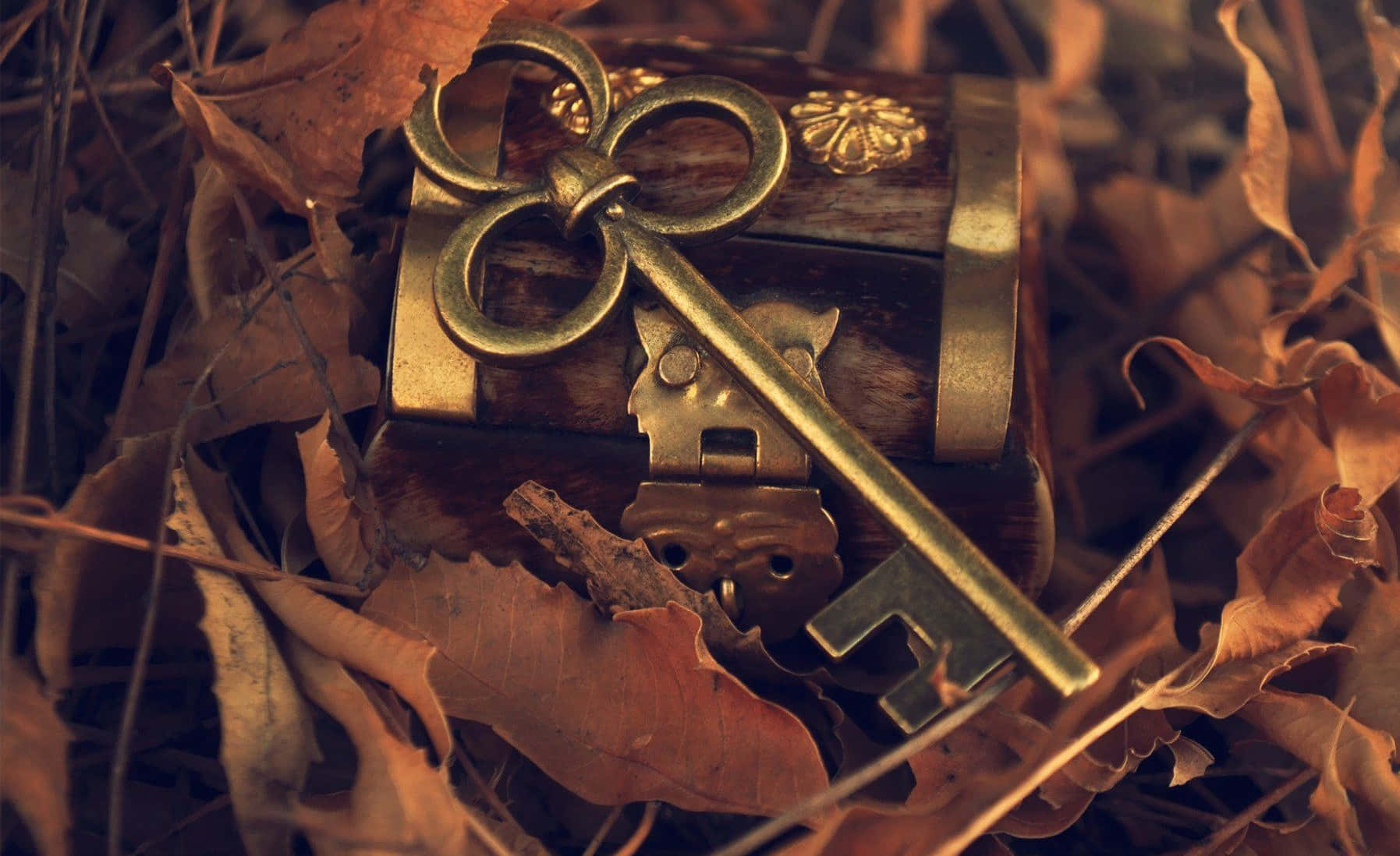 National Treasure, brass key, wooden chest, HD Desktop Wallpaper