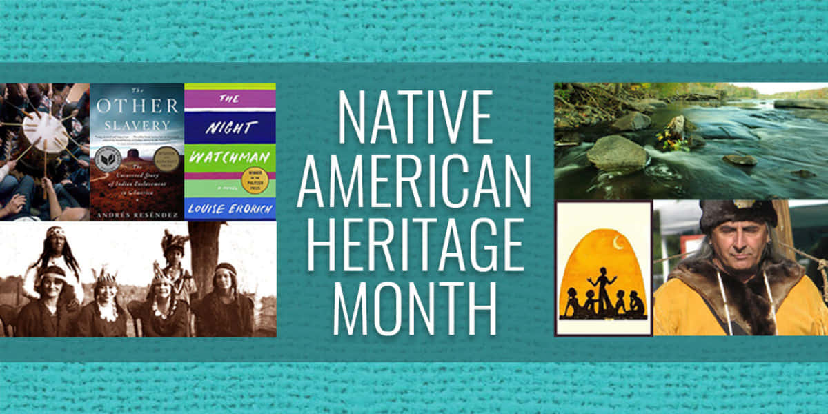 Native American Heritage Month, teal textured banner, book covers, SD Desktop Wallpaper
