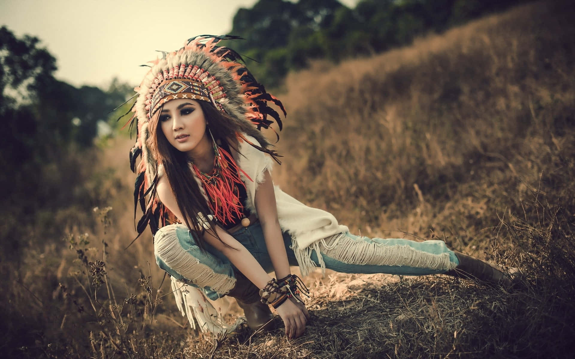 feathered headdress, sunlit field of dry grass, trees in the background, Full HD Desktop Wallpaper