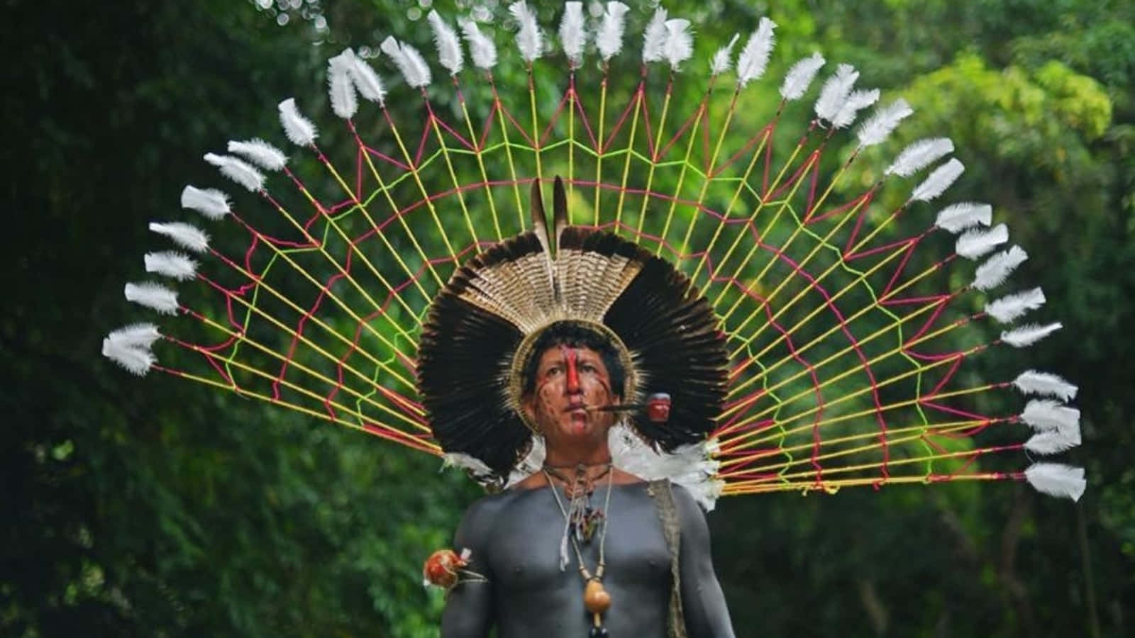indigenous person, traditional headdress, red face paint, HD Desktop Wallpaper