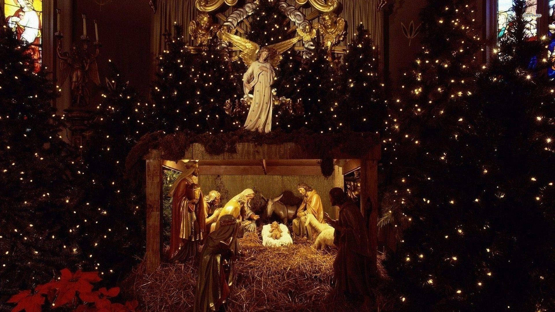 Nativity Scene Display, Christmas Trees, twinkling lights, Full HD Desktop Wallpaper