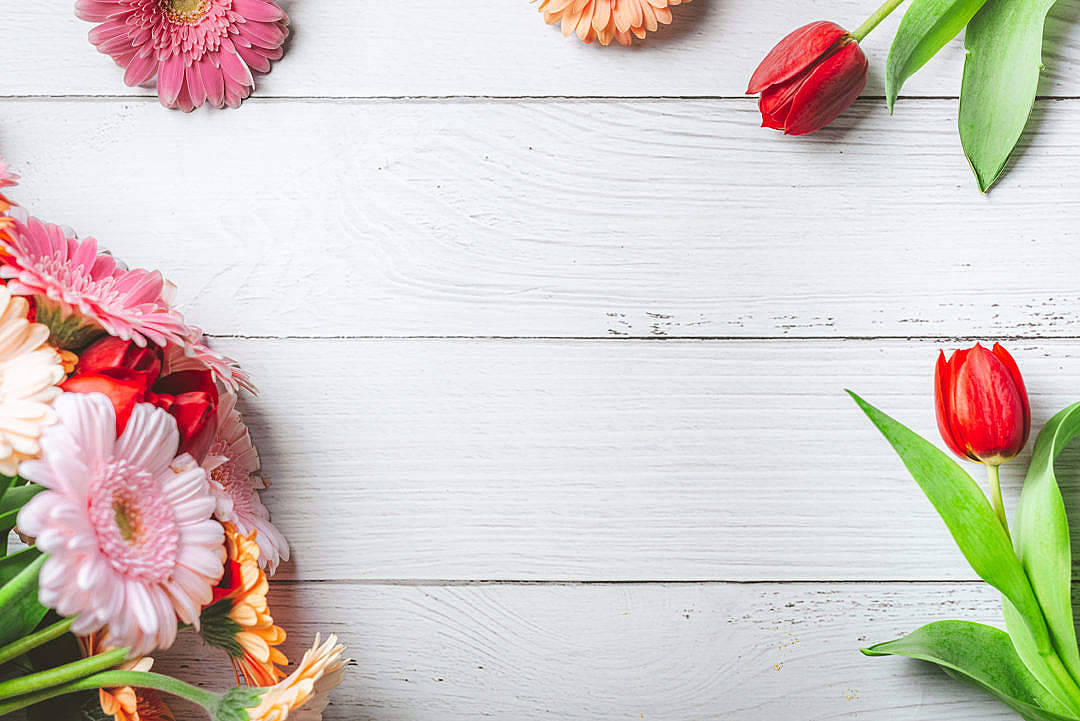 natural flower, wooden table, pink, SD Desktop Wallpaper