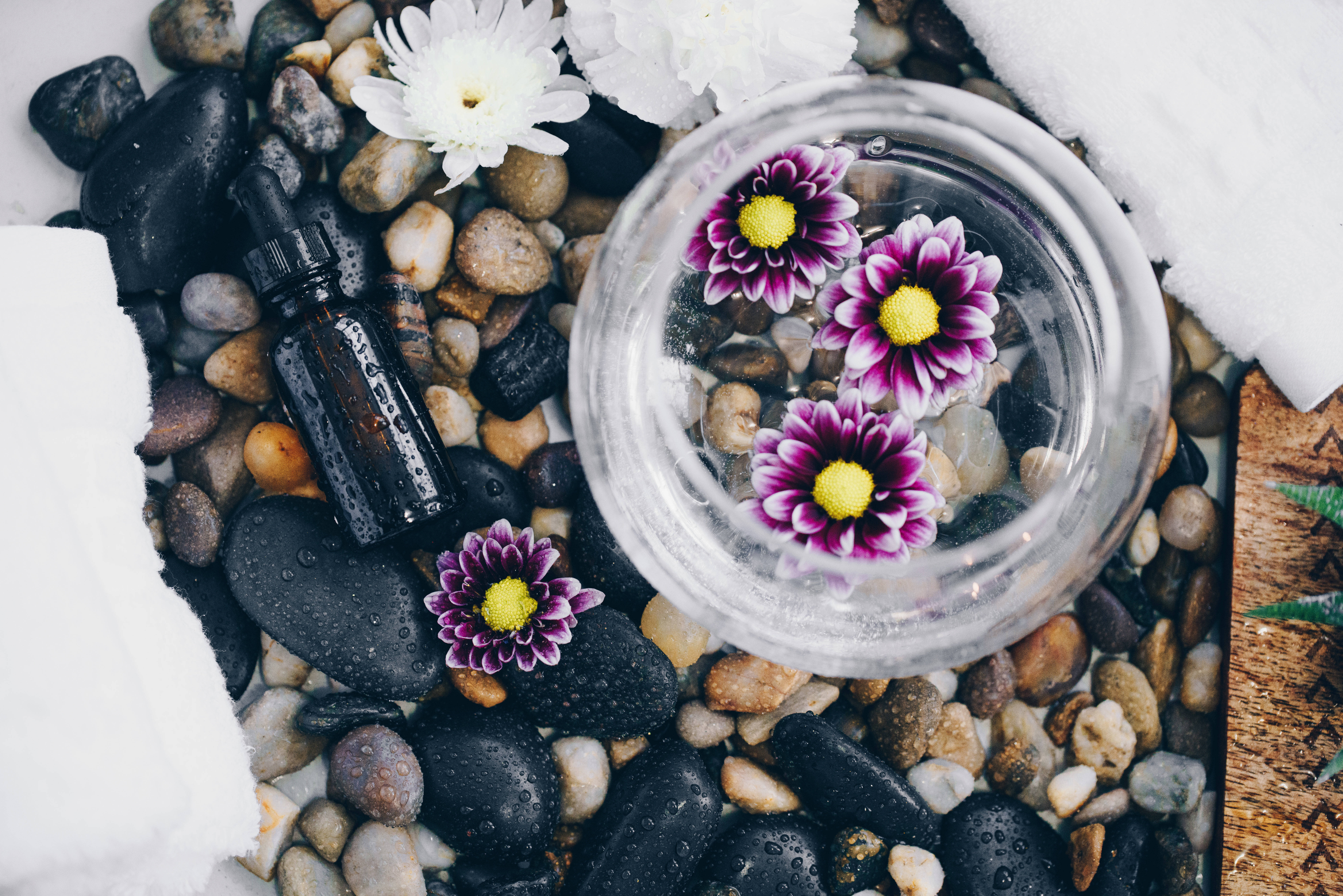 clear glass bowl, purple and yellow flowers, water, 8K Desktop Wallpaper