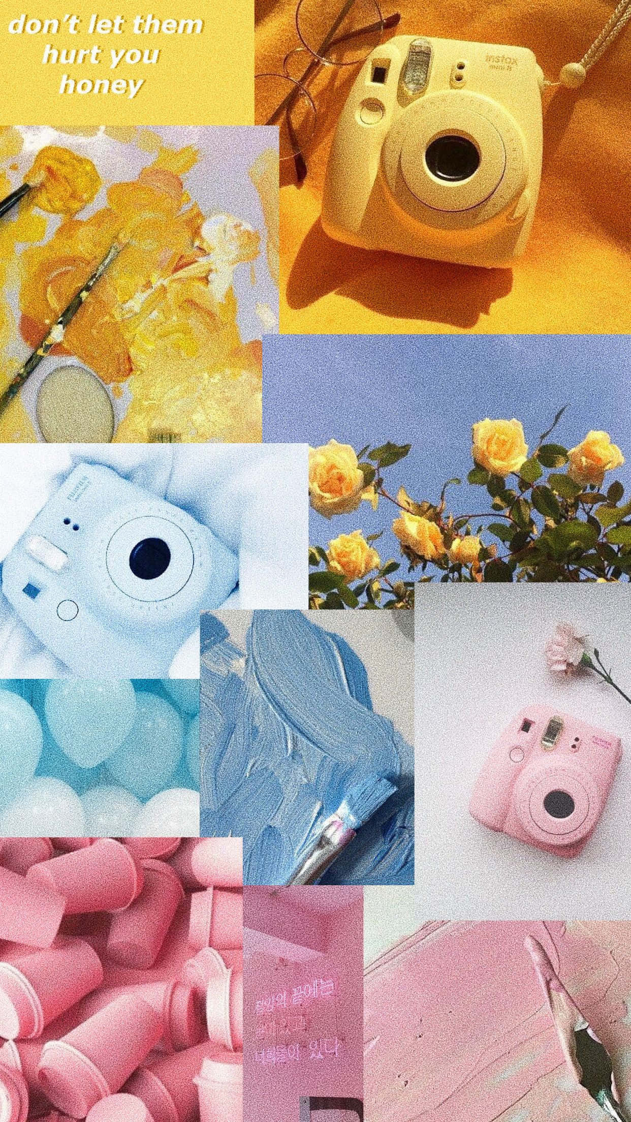 pastel-colored instant cameras, floral elements, warm golden light, Full HD Phone Wallpaper