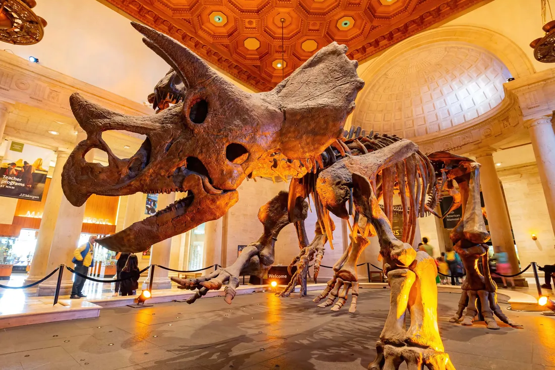 Natural History Museum Of Los Angeles