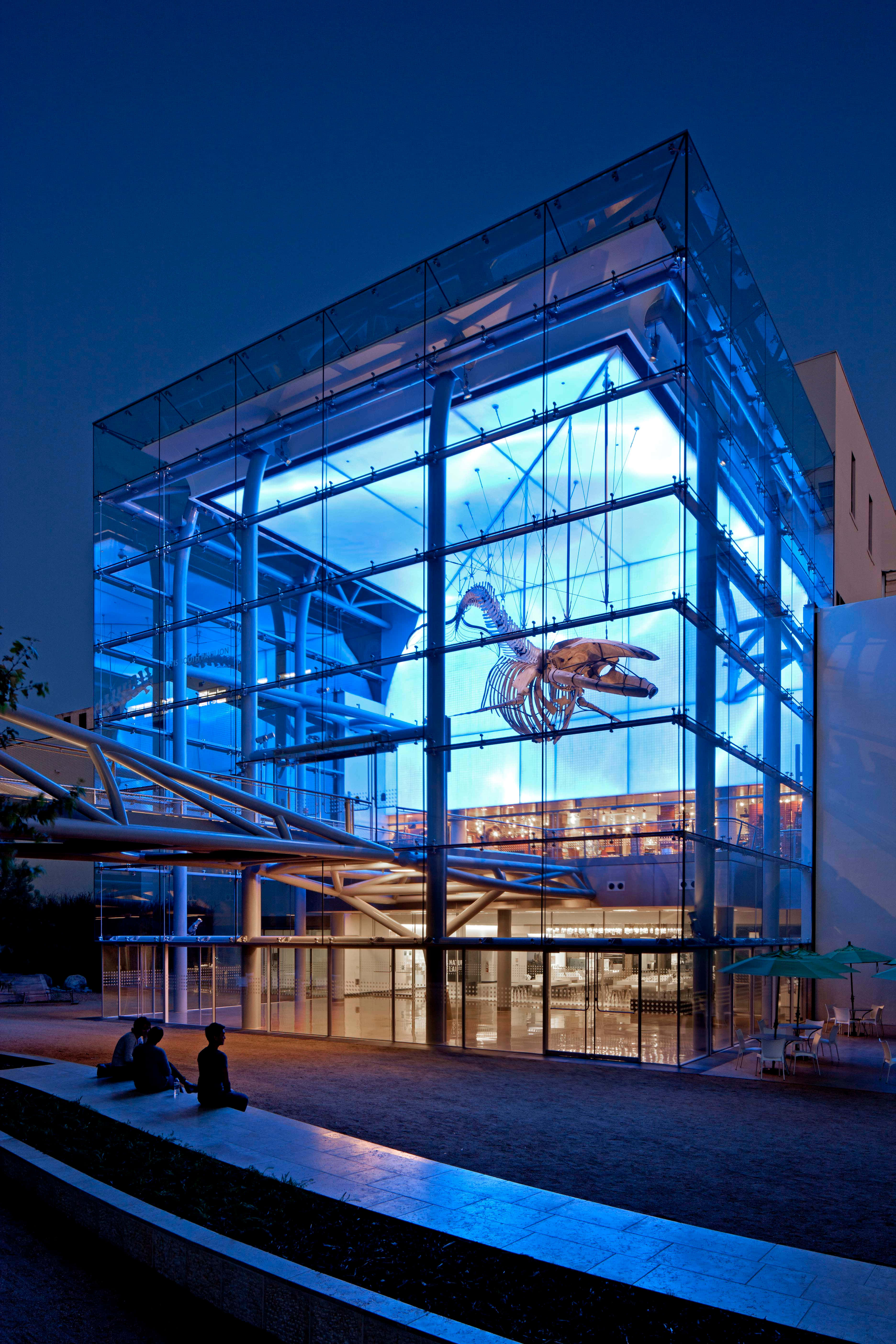 Natural History Museum Of Los Angeles, dinosaur exhibit, night, 5K Phone Wallpaper