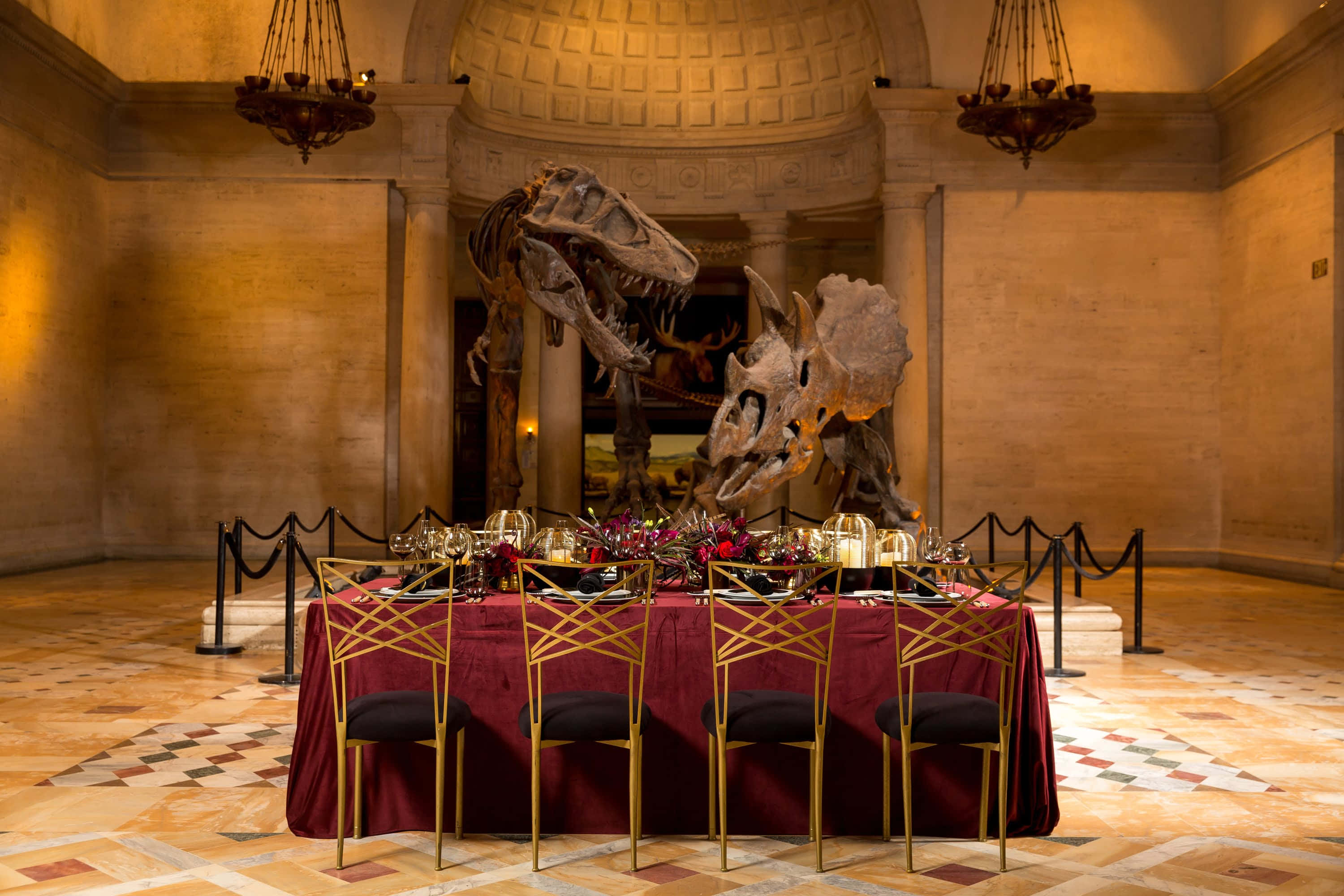 dinosaur exhibit, dining table, gold chairs, 2K Desktop Wallpaper