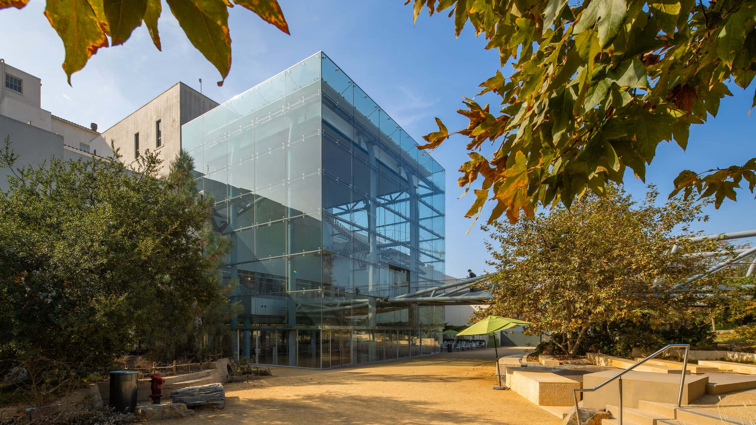 Natural History Museum Los Angeles, glass cube building, clear blue sky, 2K Desktop Wallpaper