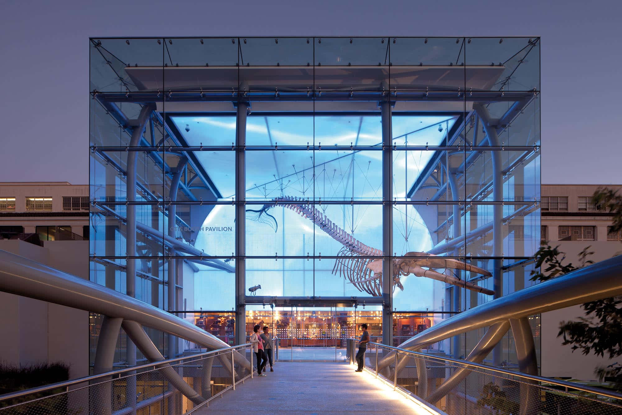 Natural History Museum Los Angeles, dinosaur exhibit entrance, glass pavilion, Full HD Desktop Wallpaper