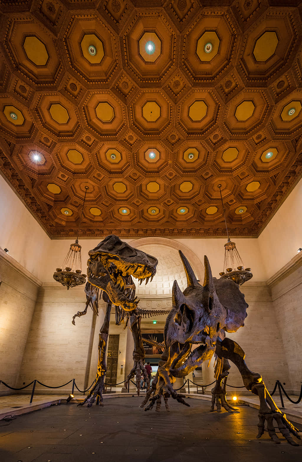 dinosaur skeletons, Natural History Museum L A, grand museum hall, HD Phone Wallpaper