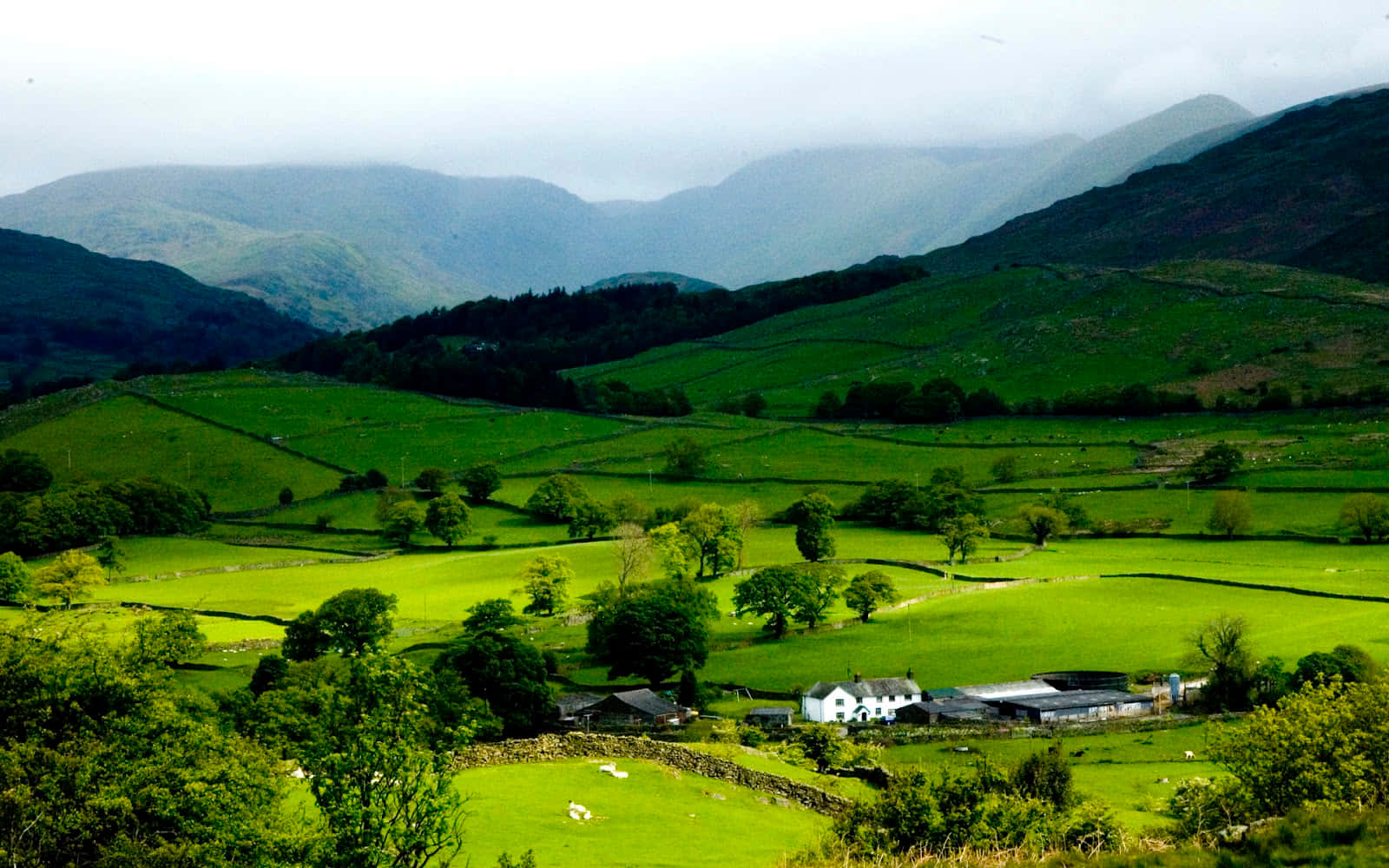 Rolling green hills, stone walls, white farmhouse, HD Desktop Wallpaper