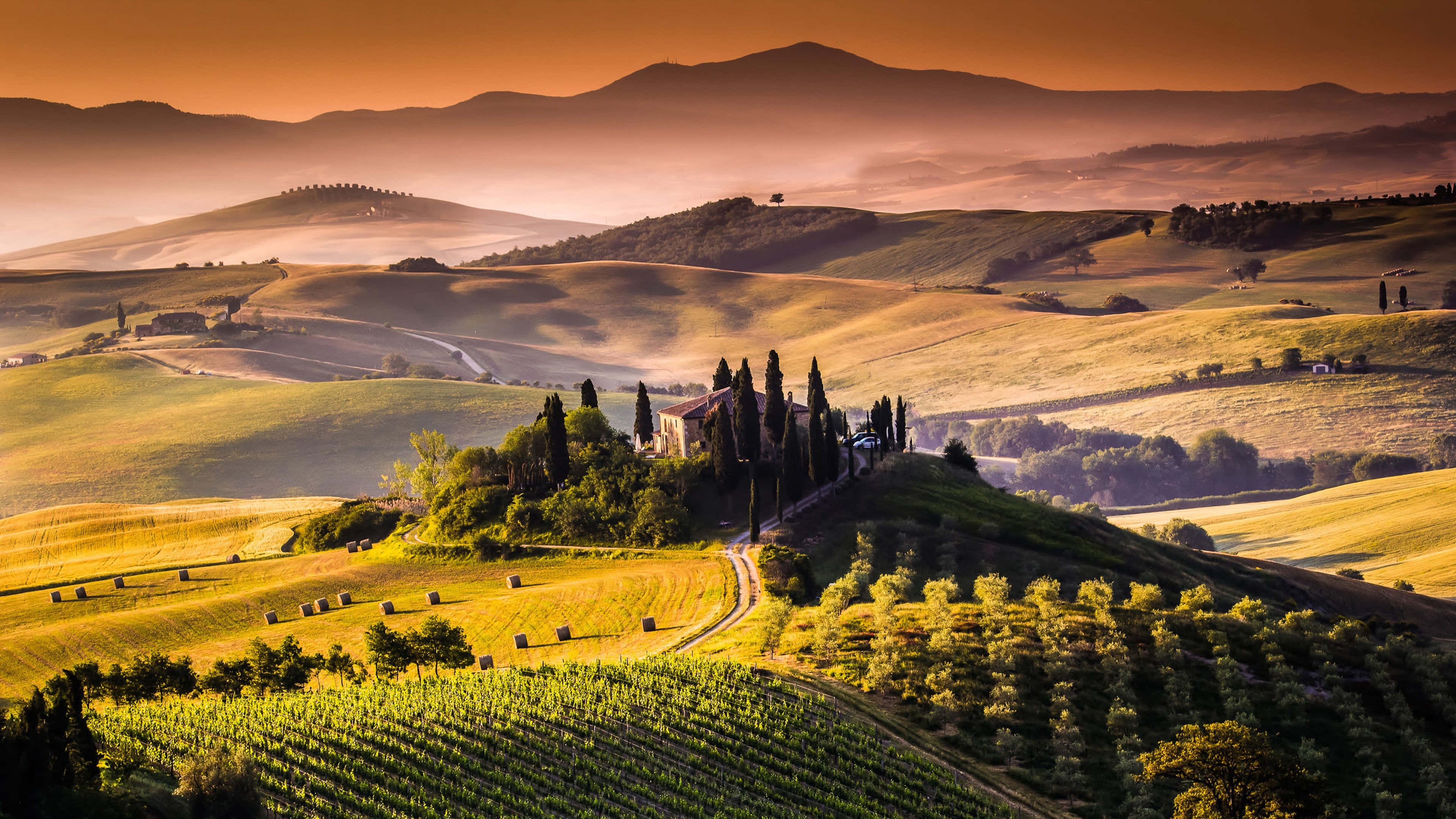 Tuscan villa, cypress trees, vineyards, 4K Desktop Wallpaper