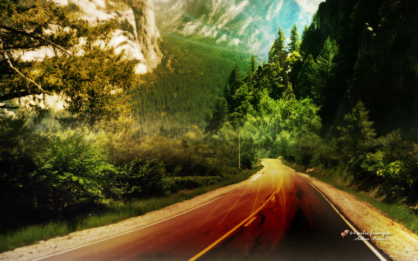 Natural Resources, asphalt road, lush green forest, HD Desktop Wallpaper