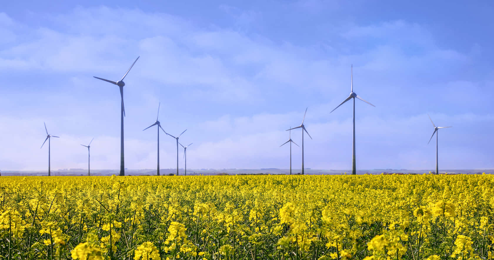 wind turbines, bright yellow flowers, clear blue sky, HD Desktop Wallpaper