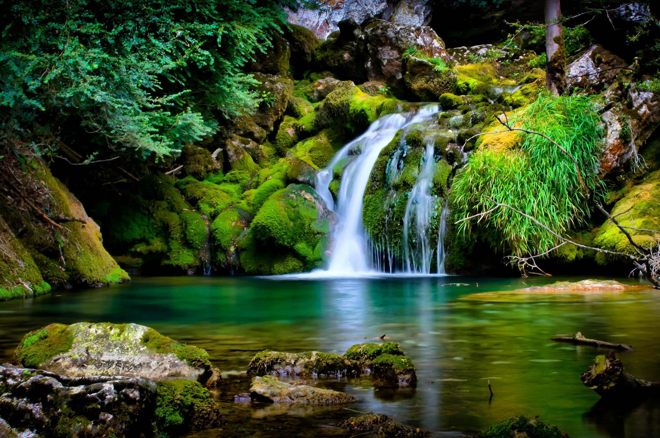 natural resources, waterfall, mossy rocks, Full HD Desktop Wallpaper