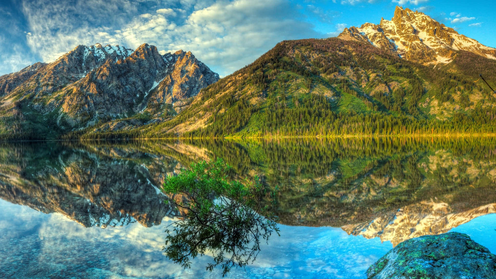mountain lake, snow-capped peaks, lush forests, Full HD Desktop Wallpaper