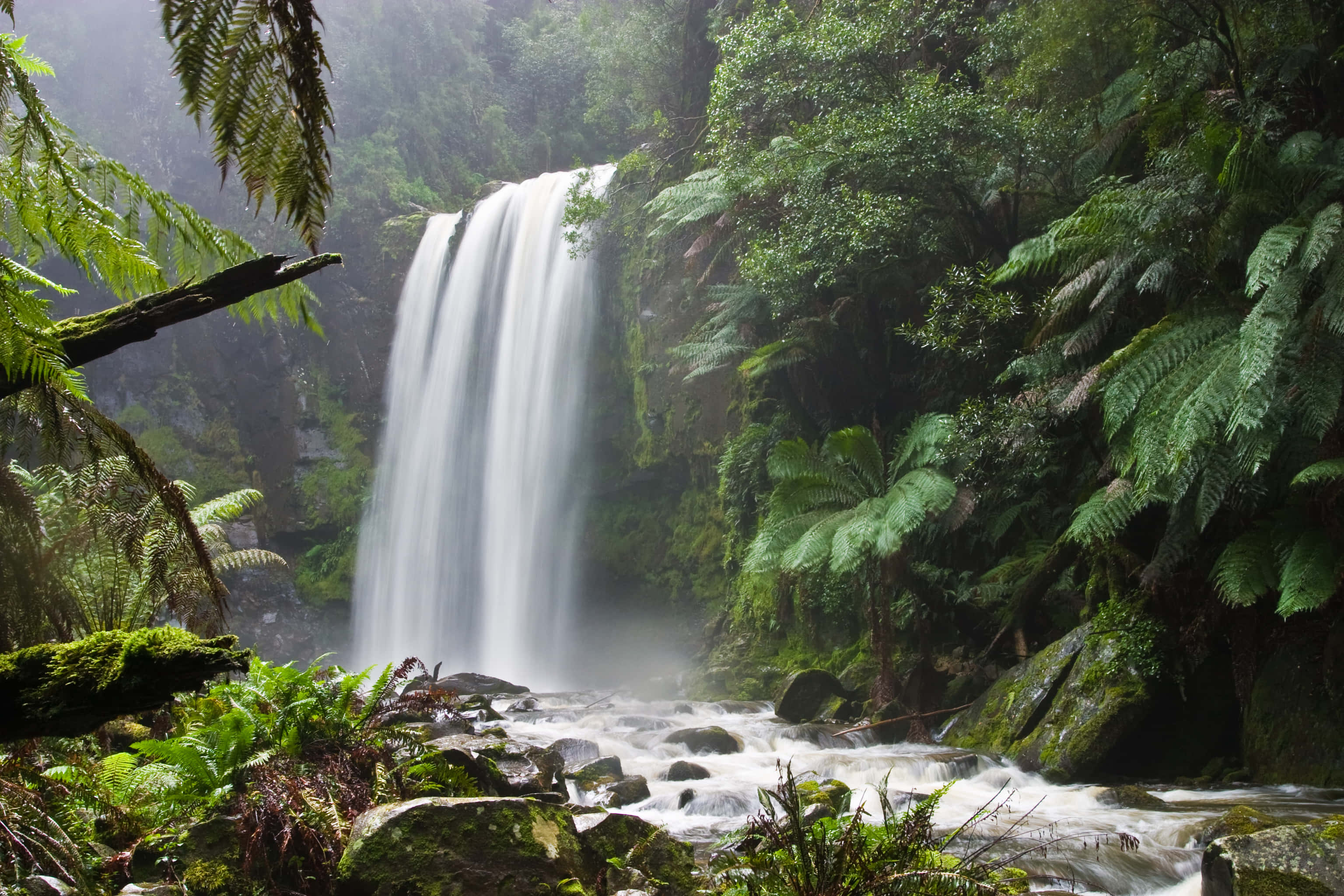 Natural Resources, waterfall, lush green forest, 2K Desktop Wallpaper