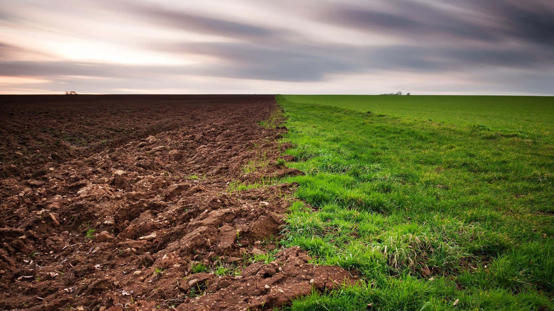 Natural Resources, brown earth, vibrant green grass, Full HD Desktop Wallpaper