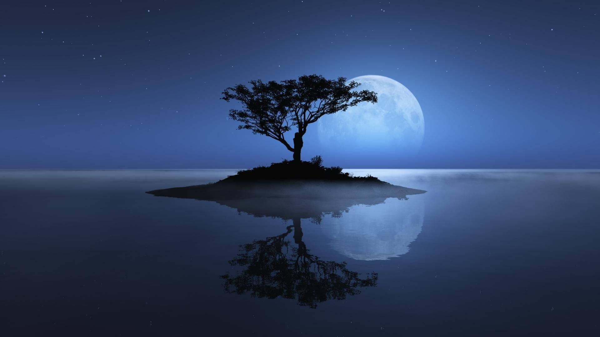 full moon, misty island, lone tree, Full HD Desktop Wallpaper