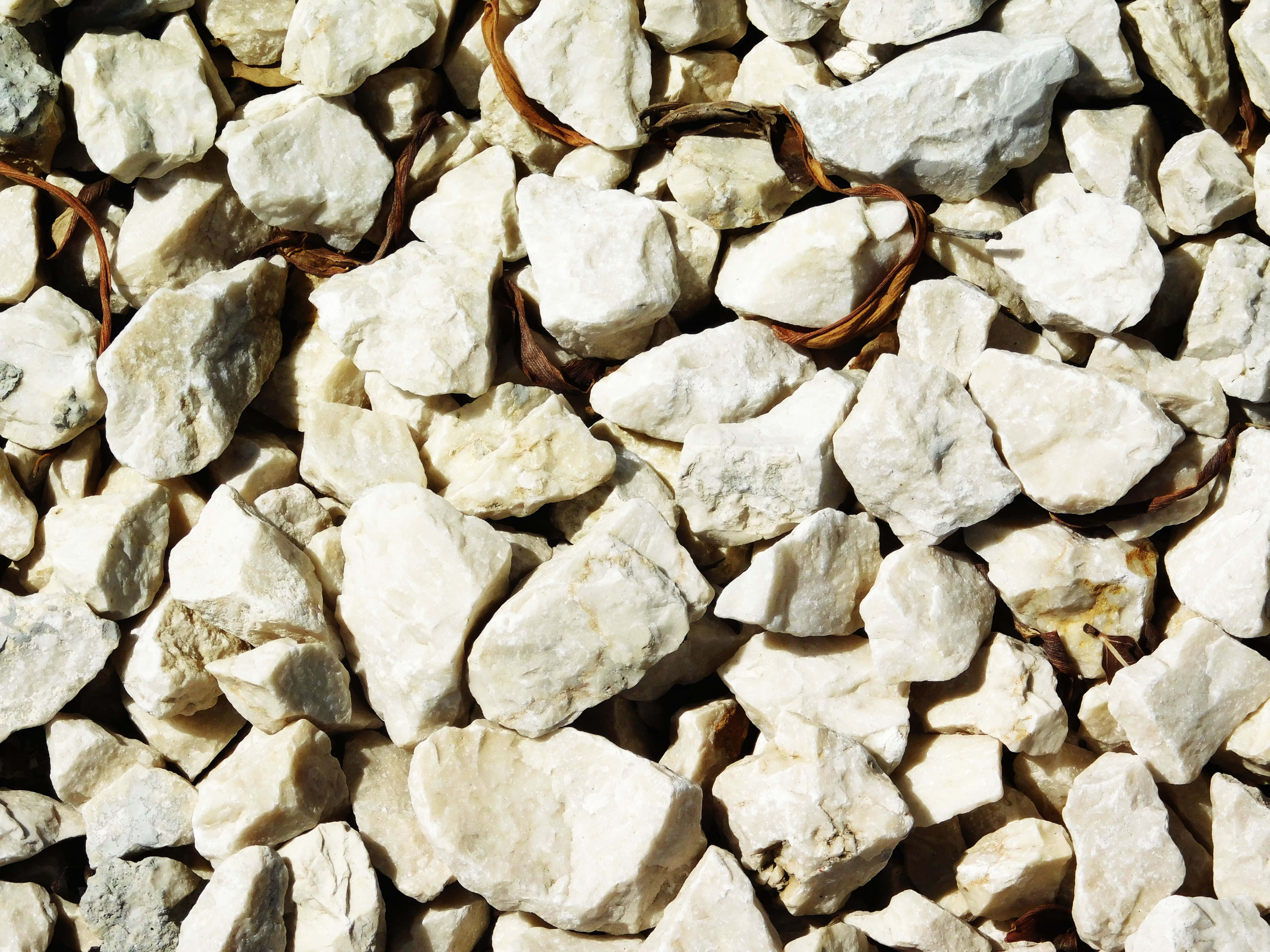 white gravel stones, brown dried twigs, sunlit, 4K Desktop Wallpaper