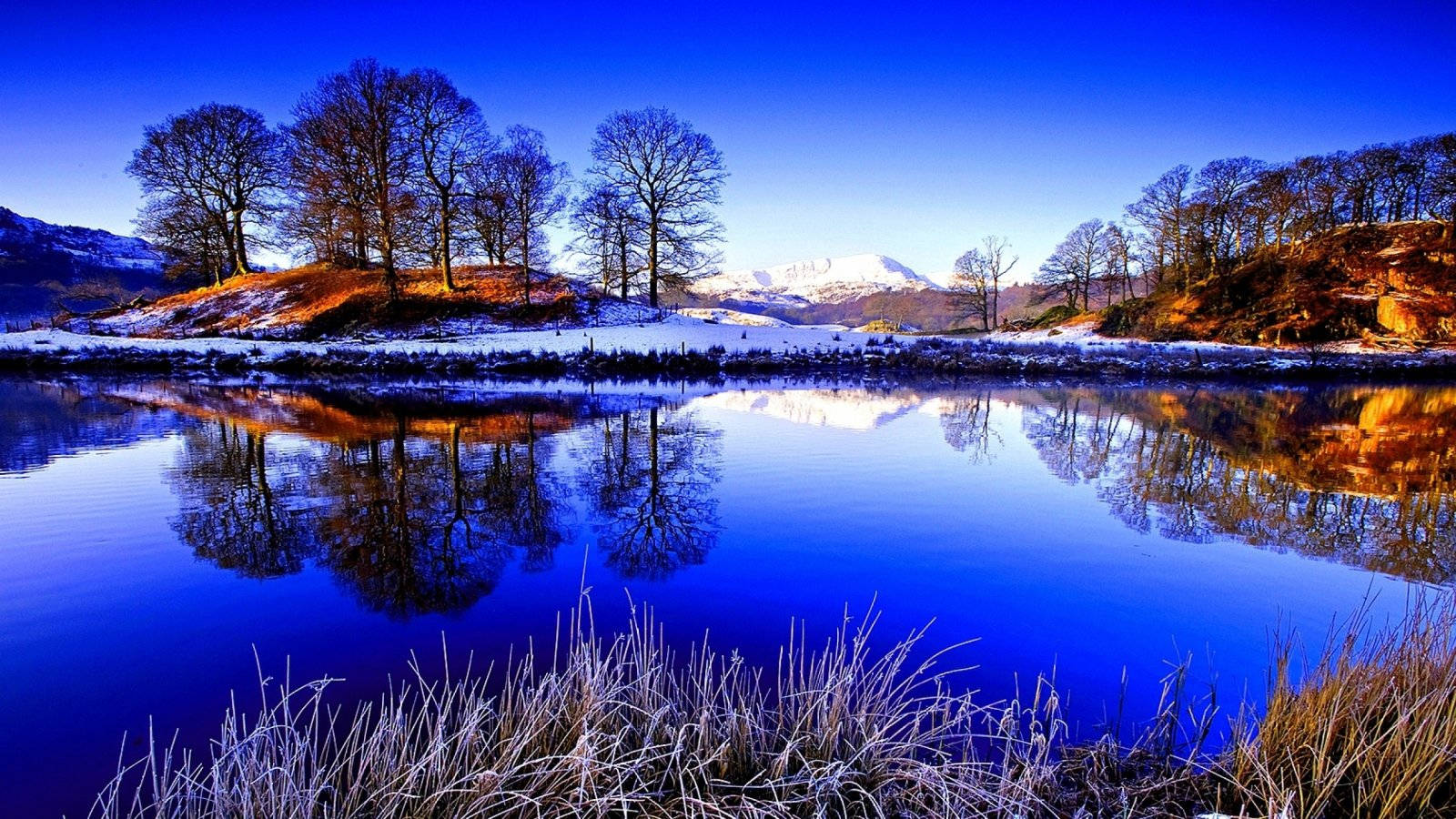 natural lake, snow-capped mountains, bare trees, HD Desktop Wallpaper