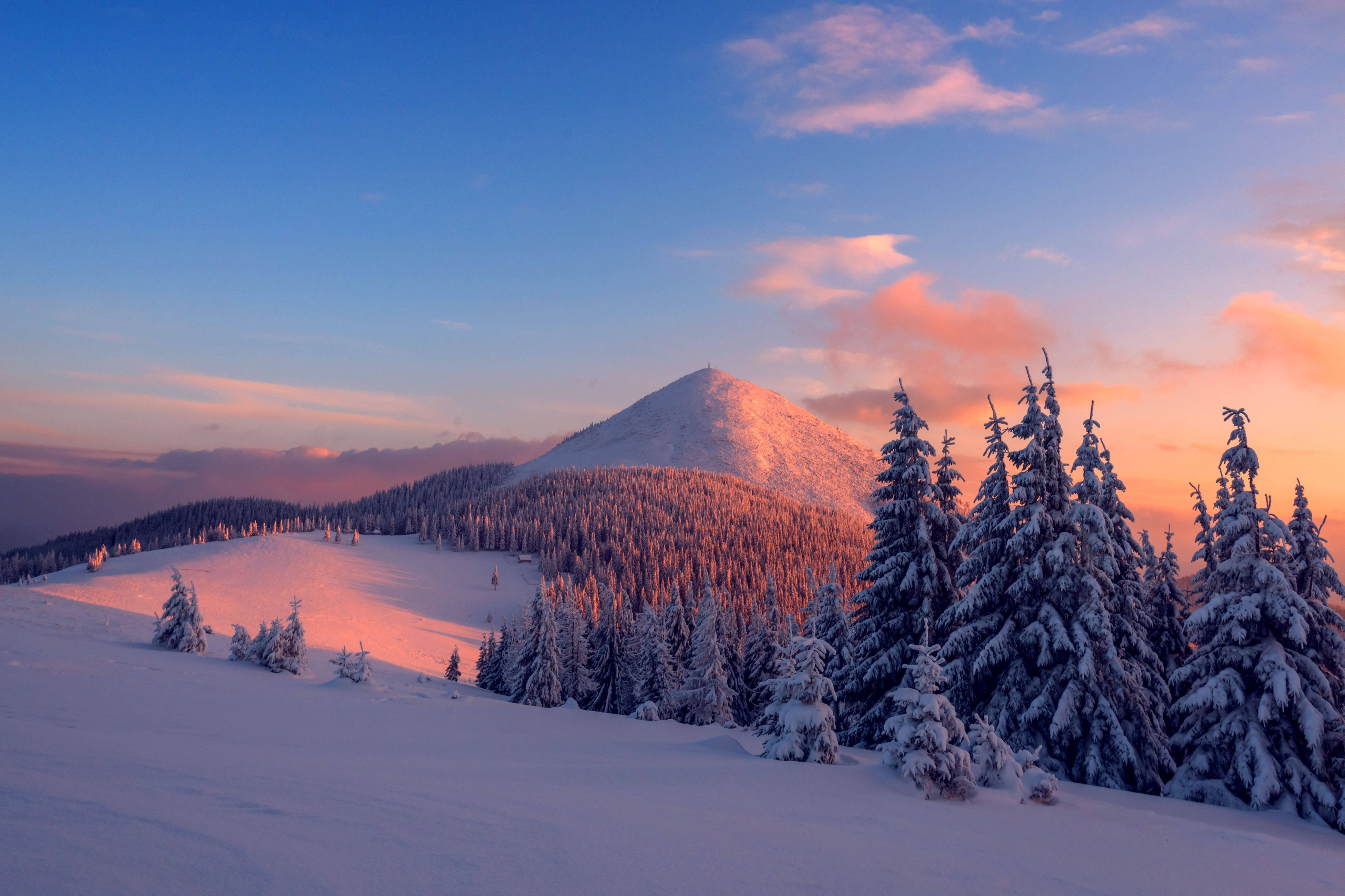 snowy mountain peak, warm sunrise light, frost-covered pine trees, 5K Desktop Wallpaper