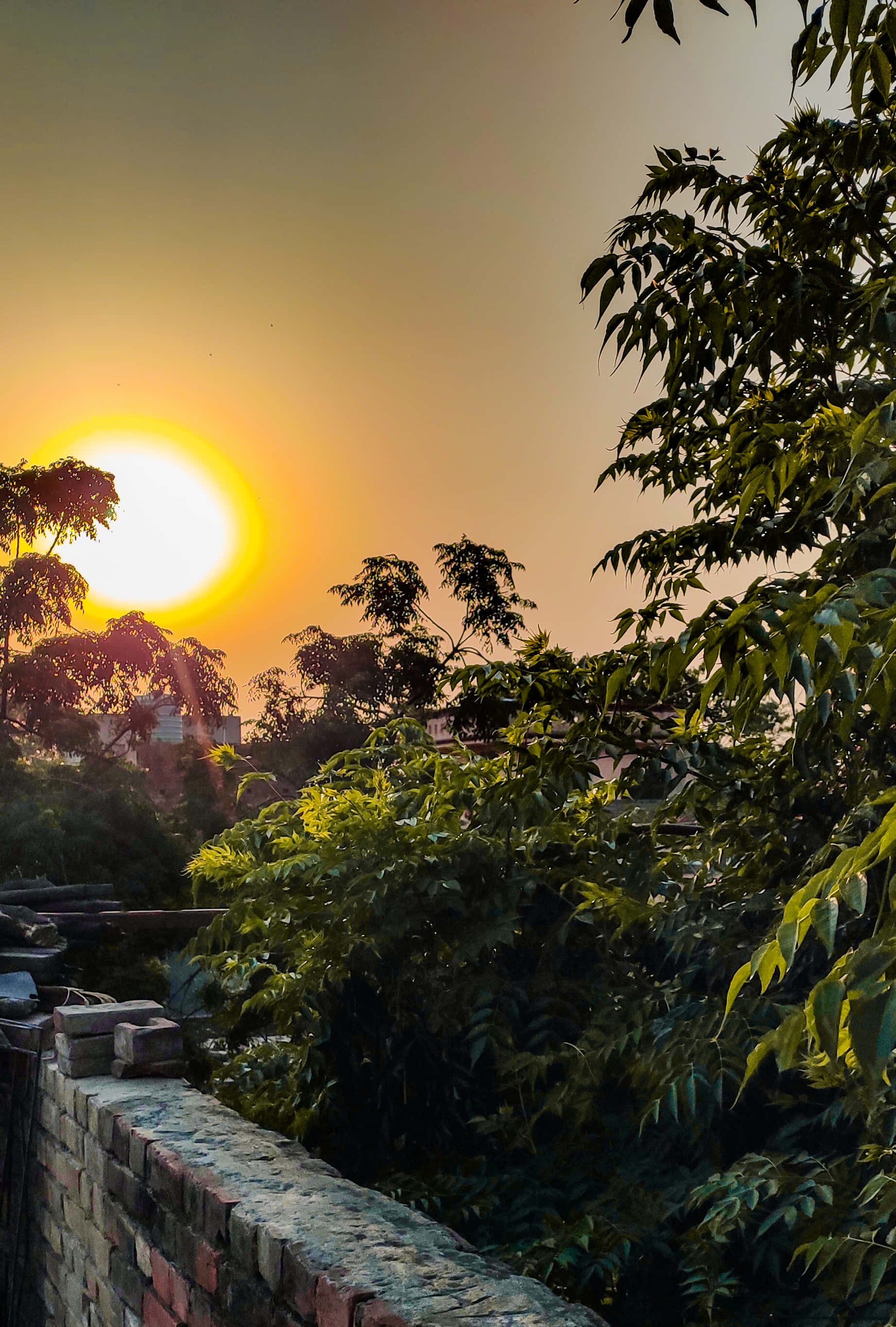 sunset, lush green trees, weathered brick wall, 2K Phone Wallpaper