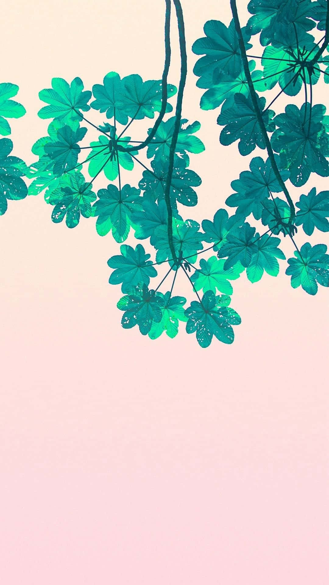 teal leaves, soft pink gradient sky, nature aesthetic phone, Full HD Phone Wallpaper