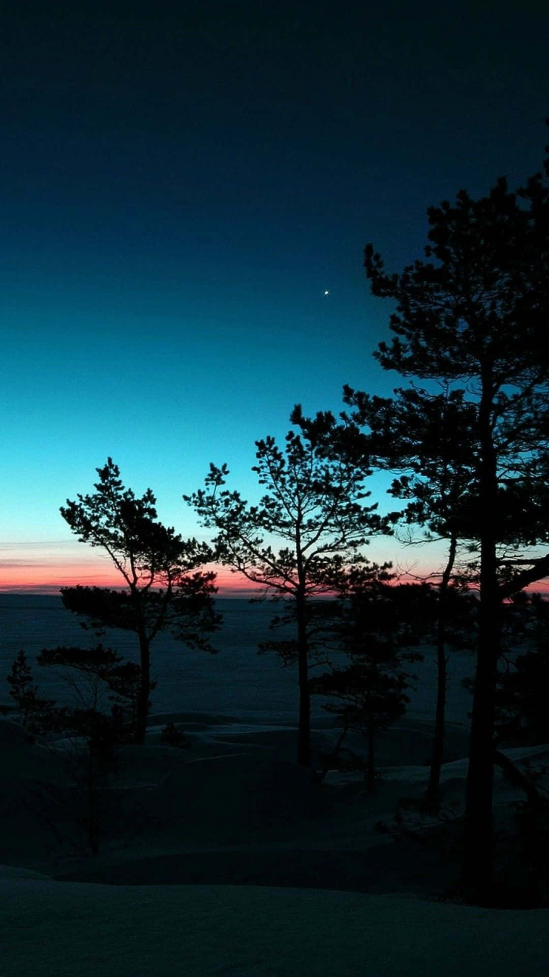 pine trees, twilight sky, deep blue, Full HD Phone Wallpaper