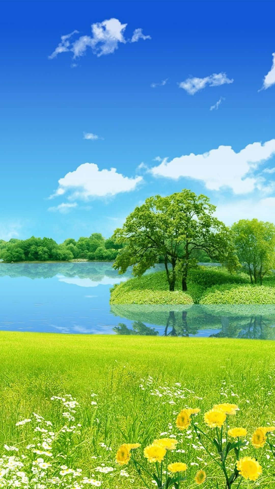 Android Nature, vibrant summer meadow, yellow daisies, Full HD Phone Wallpaper