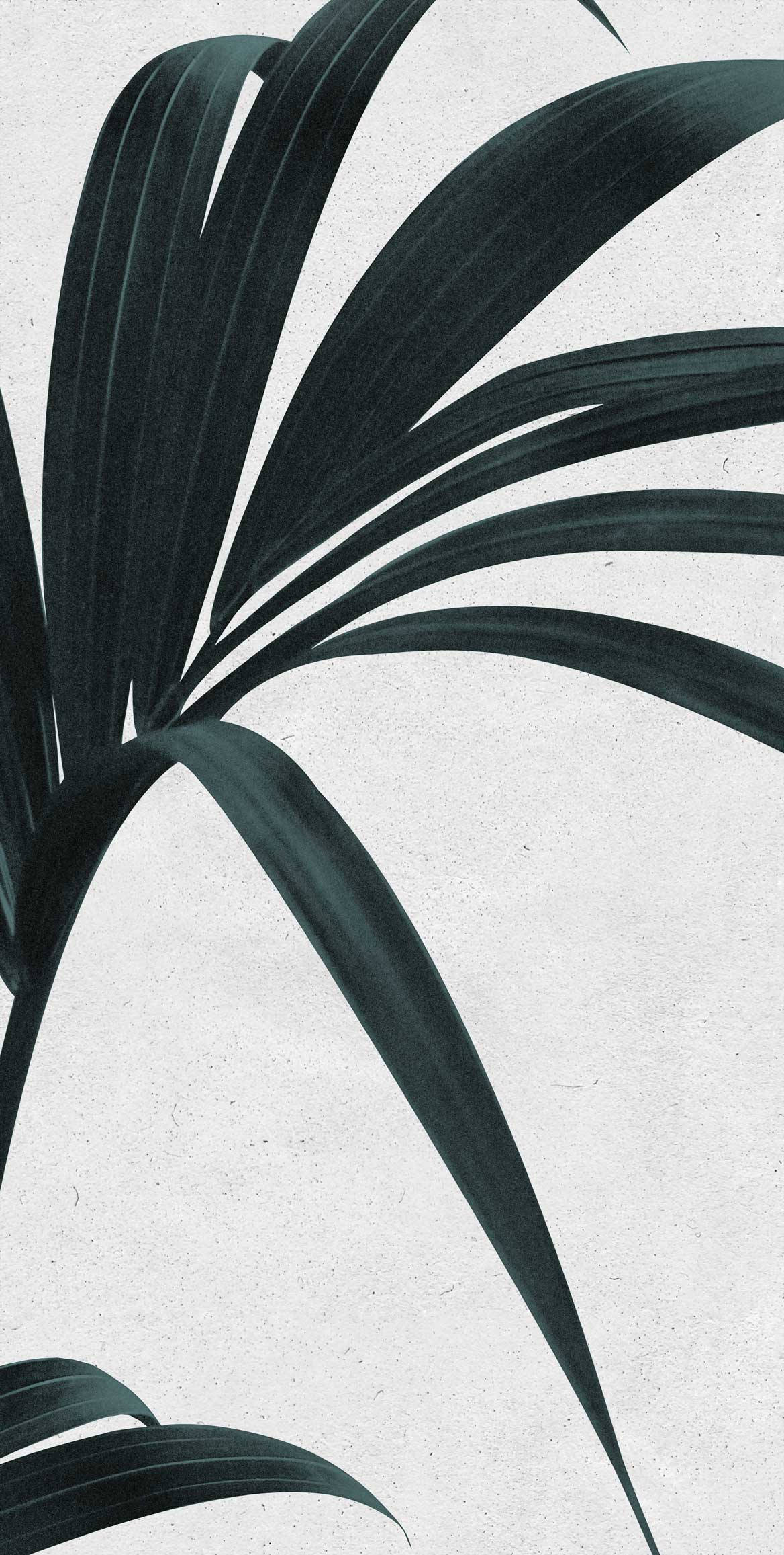 Humble Palm Leaf, dark green palm fronds, textured off-white background, Full HD Phone Wallpaper
