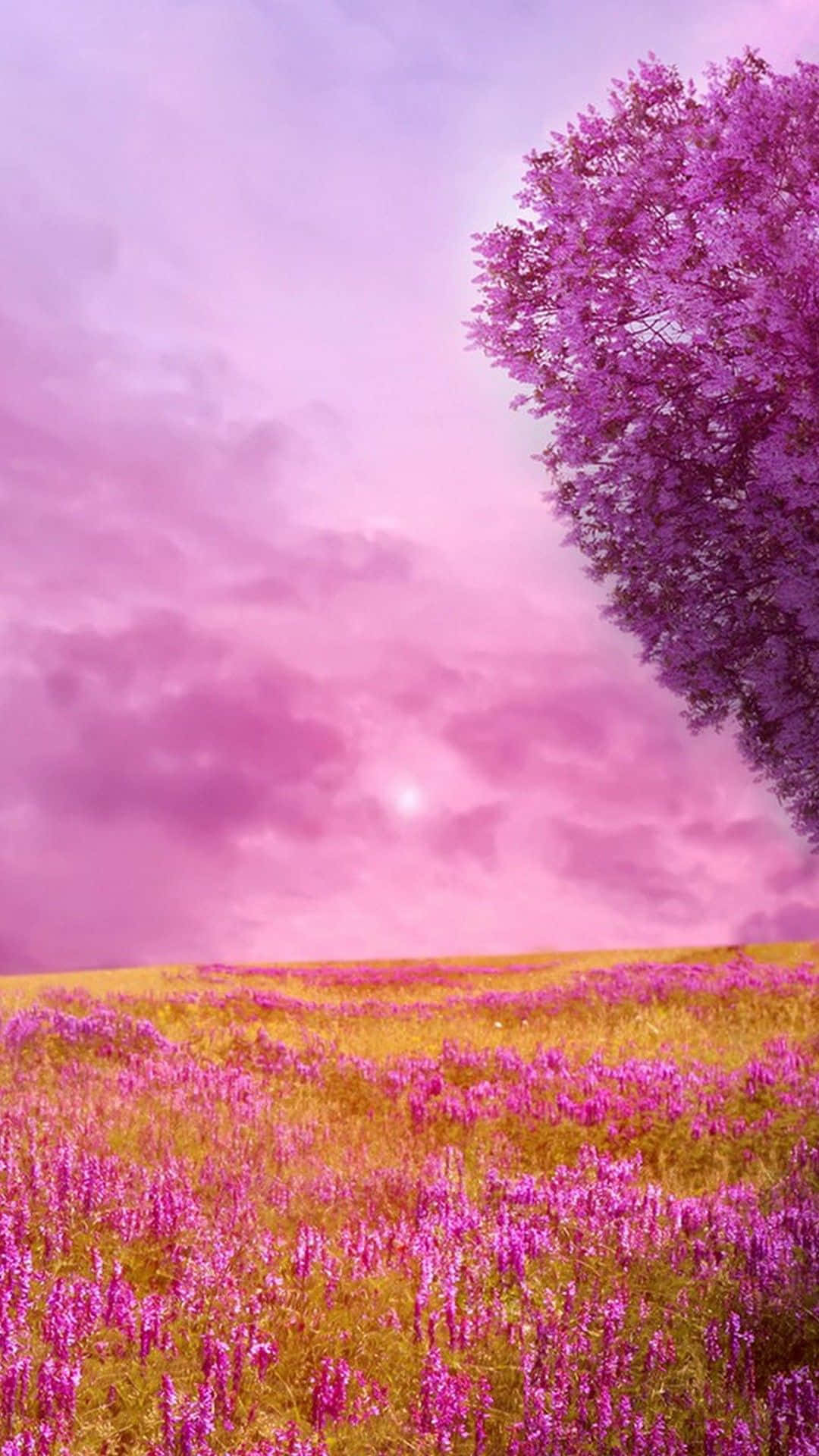 Nature Android HD, pink meadow, purple tree, Full HD Phone Wallpaper