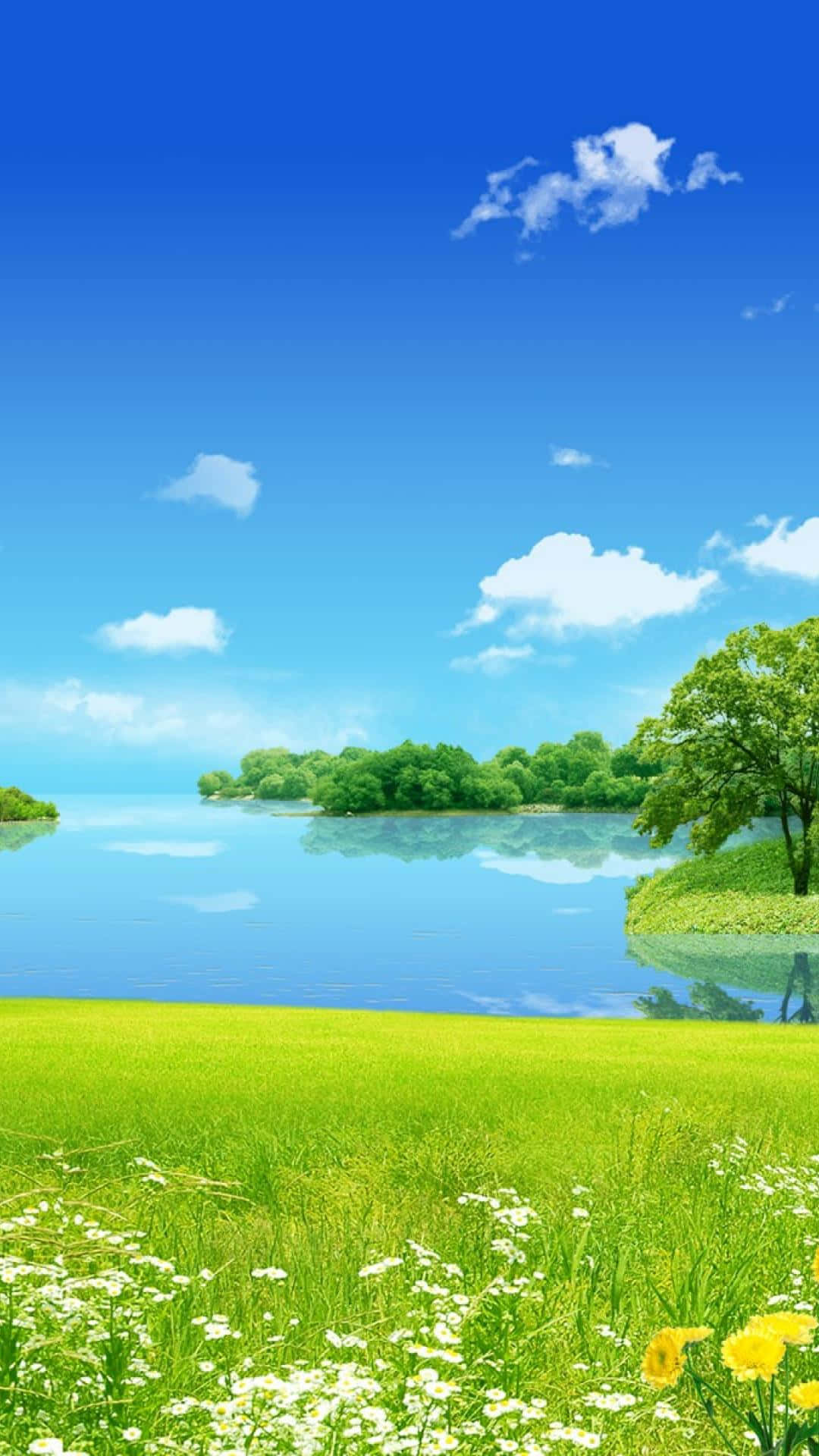 Nature Android HD, serene summer lake, lush green grass, Full HD Phone Wallpaper