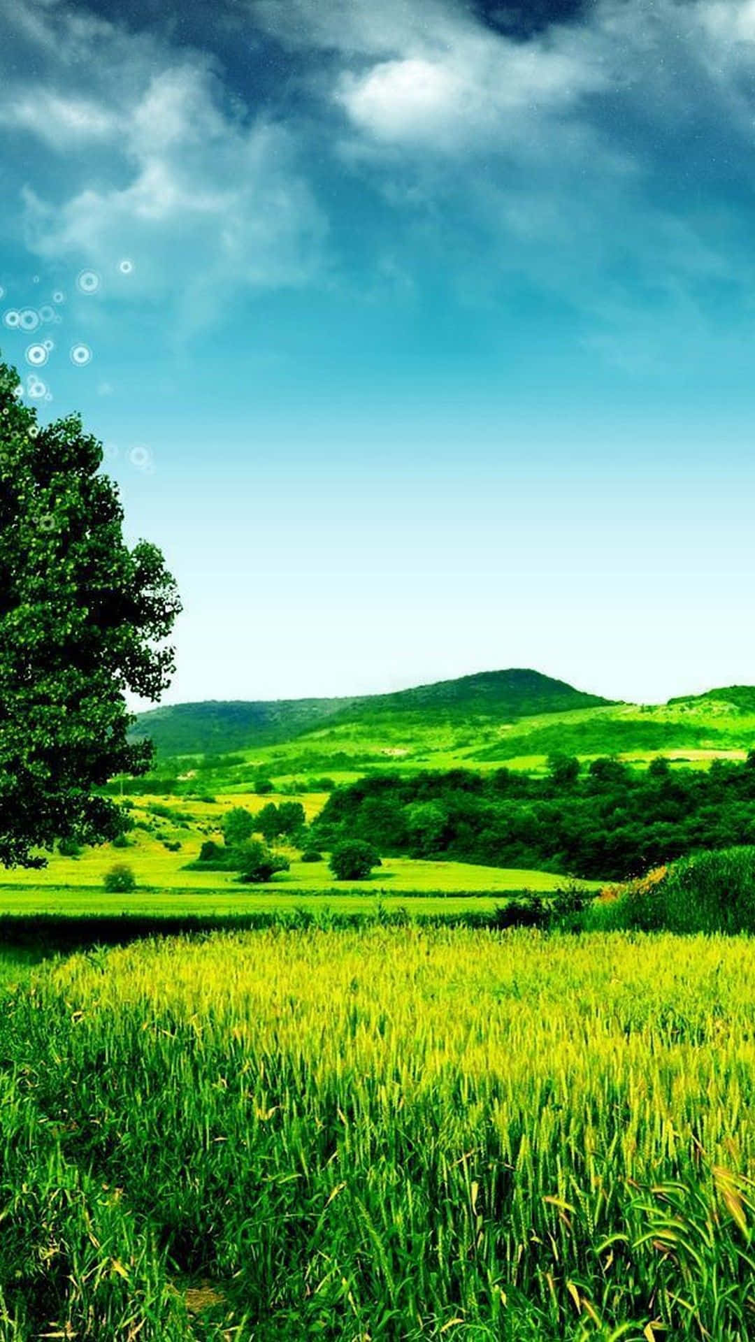 Vast Green Hills, Nature Android HD, vibrant green wheat field, Full HD Phone Wallpaper