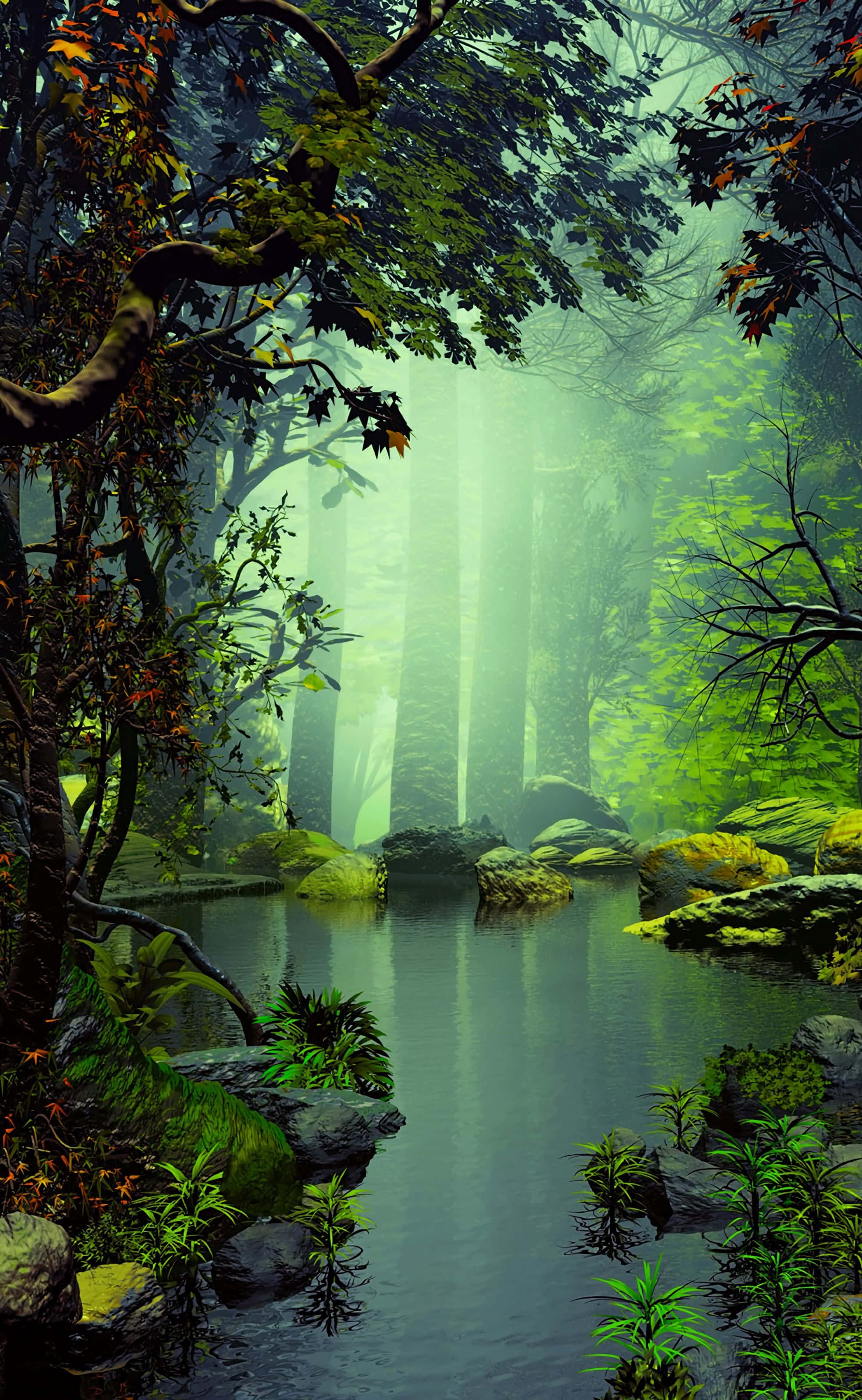 Nature Android HD, mist, forest stream, 2K Phone Wallpaper