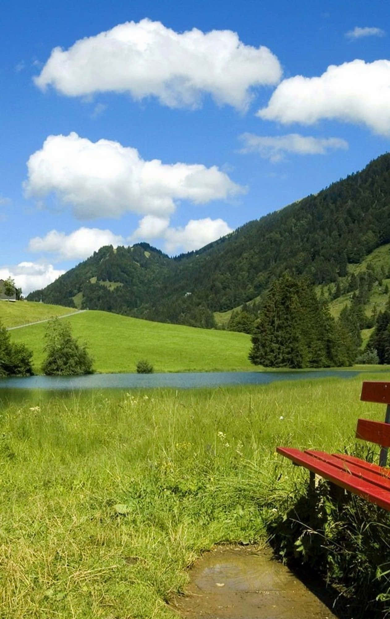 red wooden bench, sunlit grassy field, calm lake, Full HD Phone Wallpaper