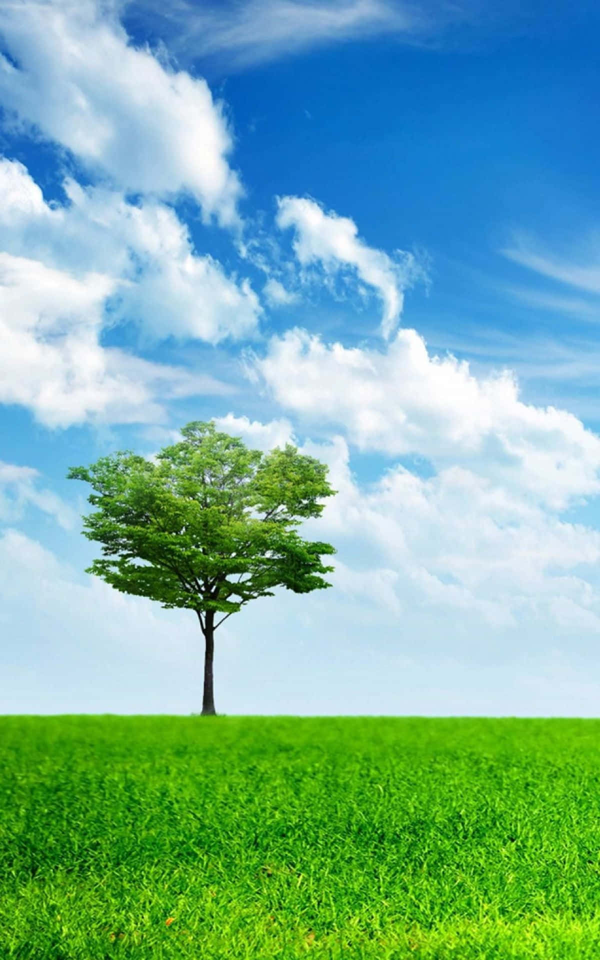 Android, green tree, vibrant grassy hill, Full HD Phone Wallpaper